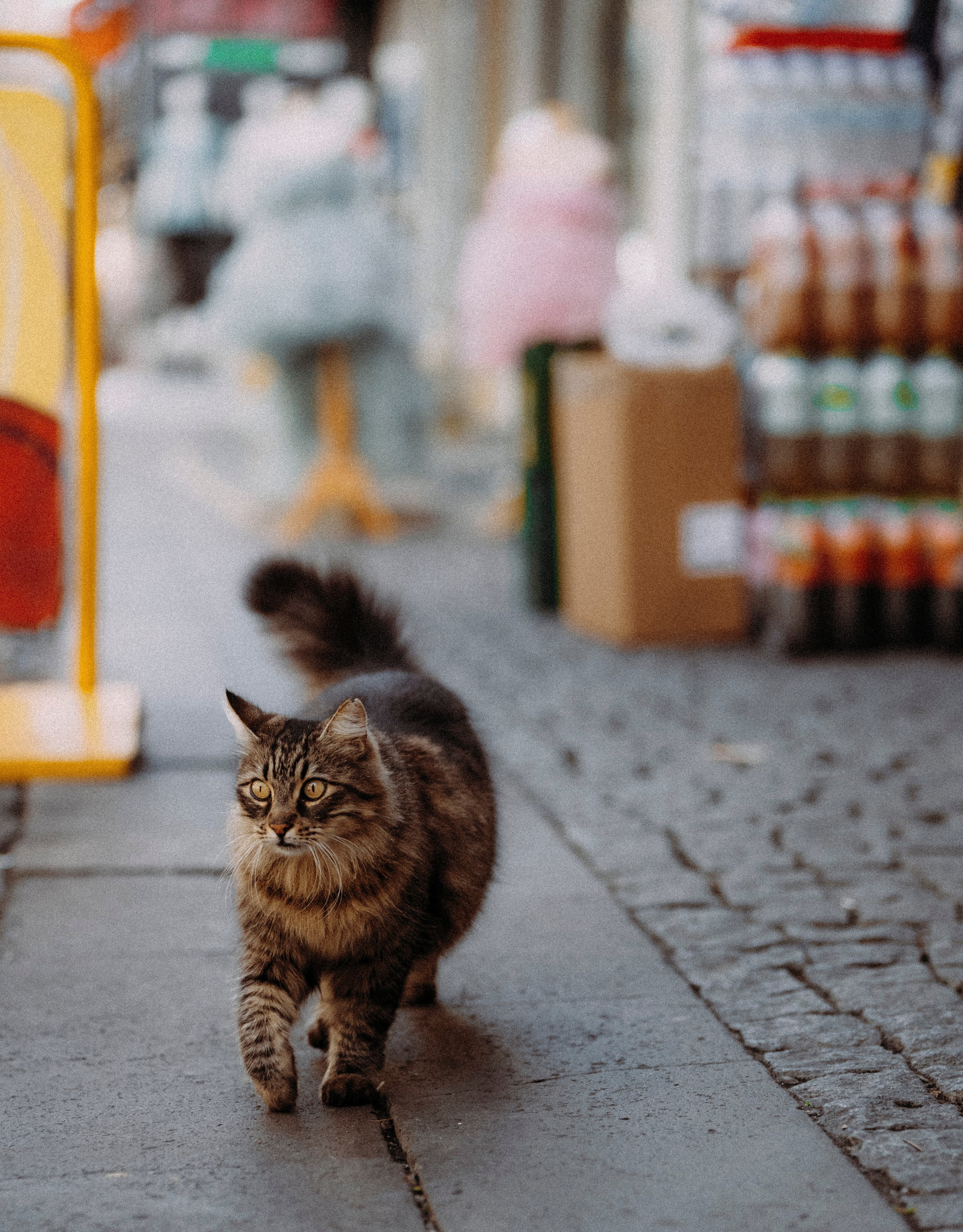 СТАМБУЛ. Стрит-фотография, полная абсурда, идиотизма и красоты