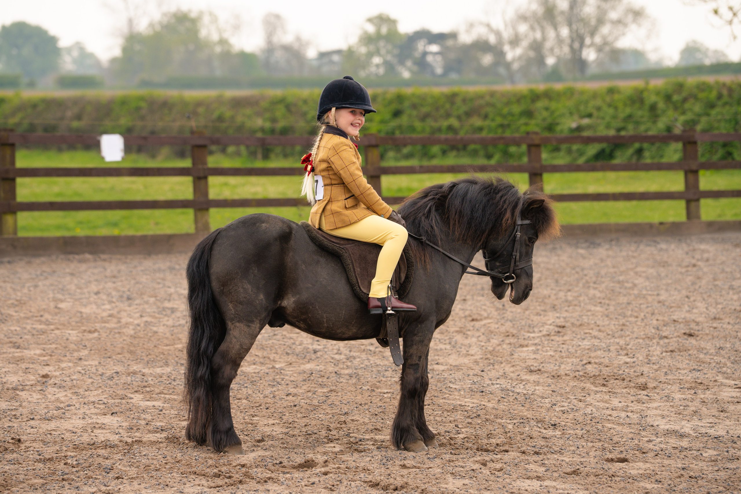 Showing. Leicestershire Equine Photography by El | Authentic Equine Portraits & Events