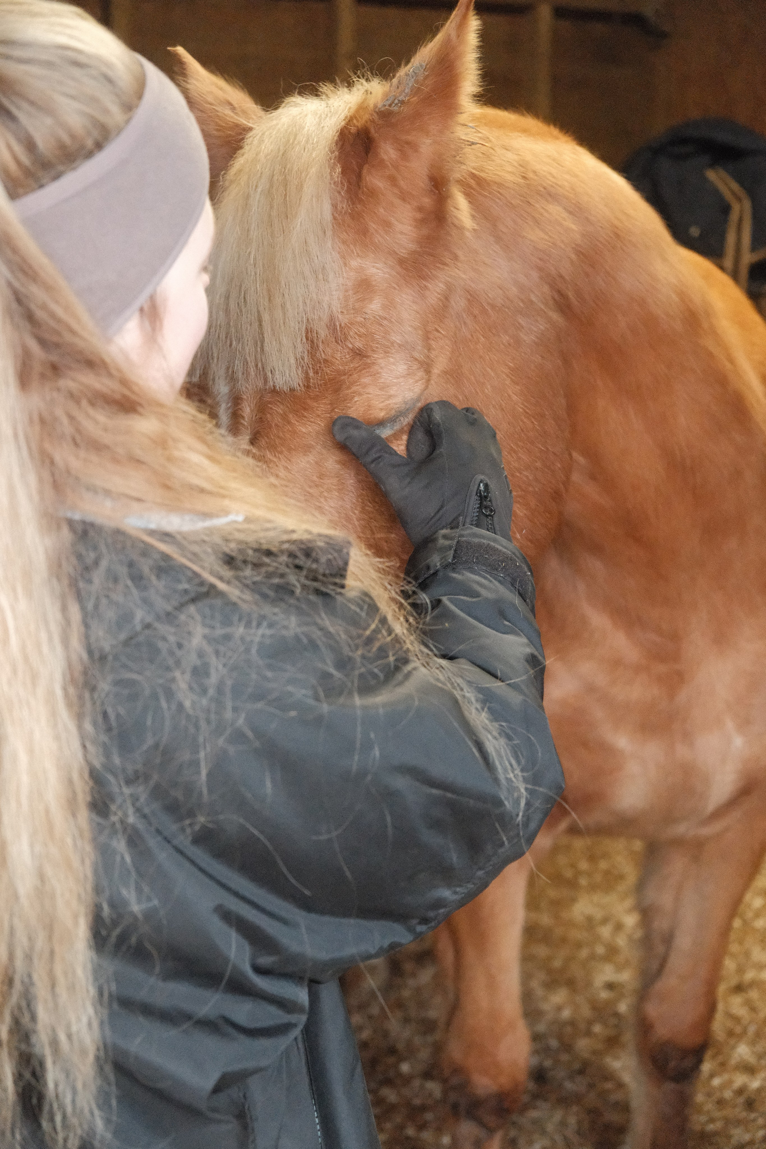 Portrait photography with Fudge the horse. Cal Takes Photos