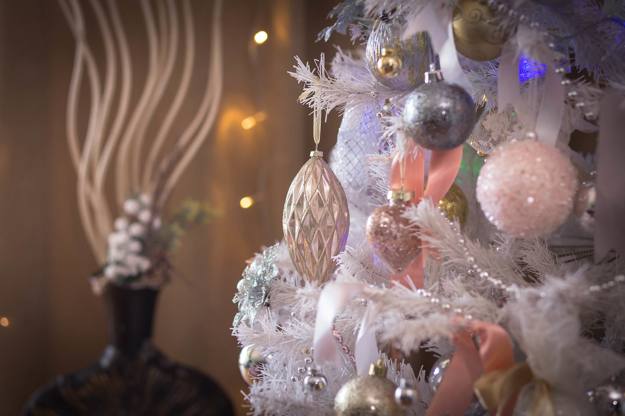 New year photo shoots