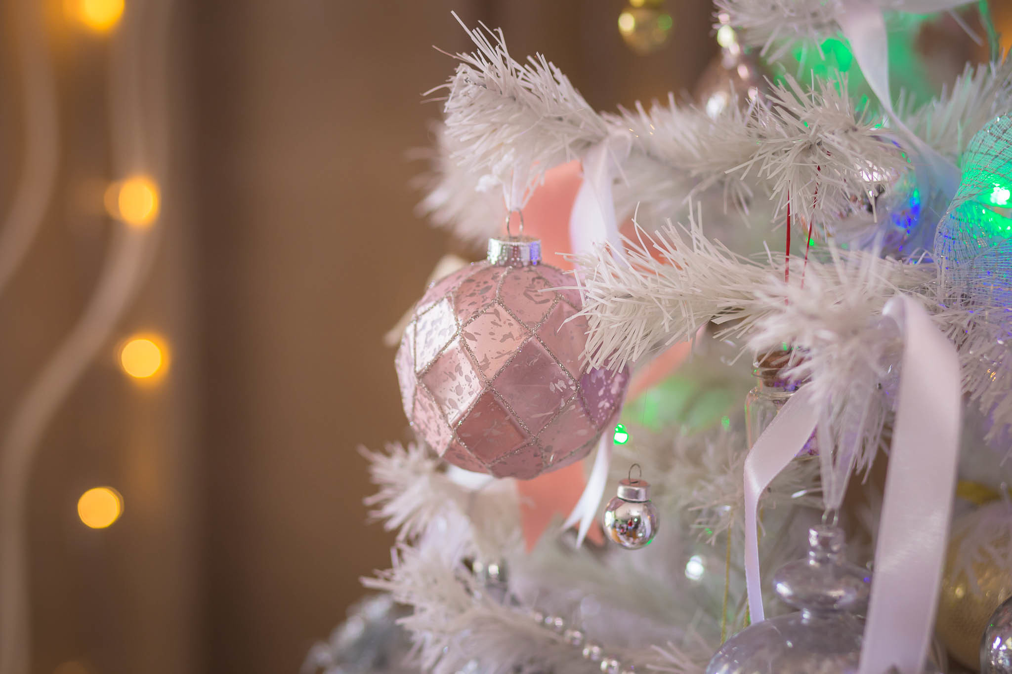 New year photo shoots