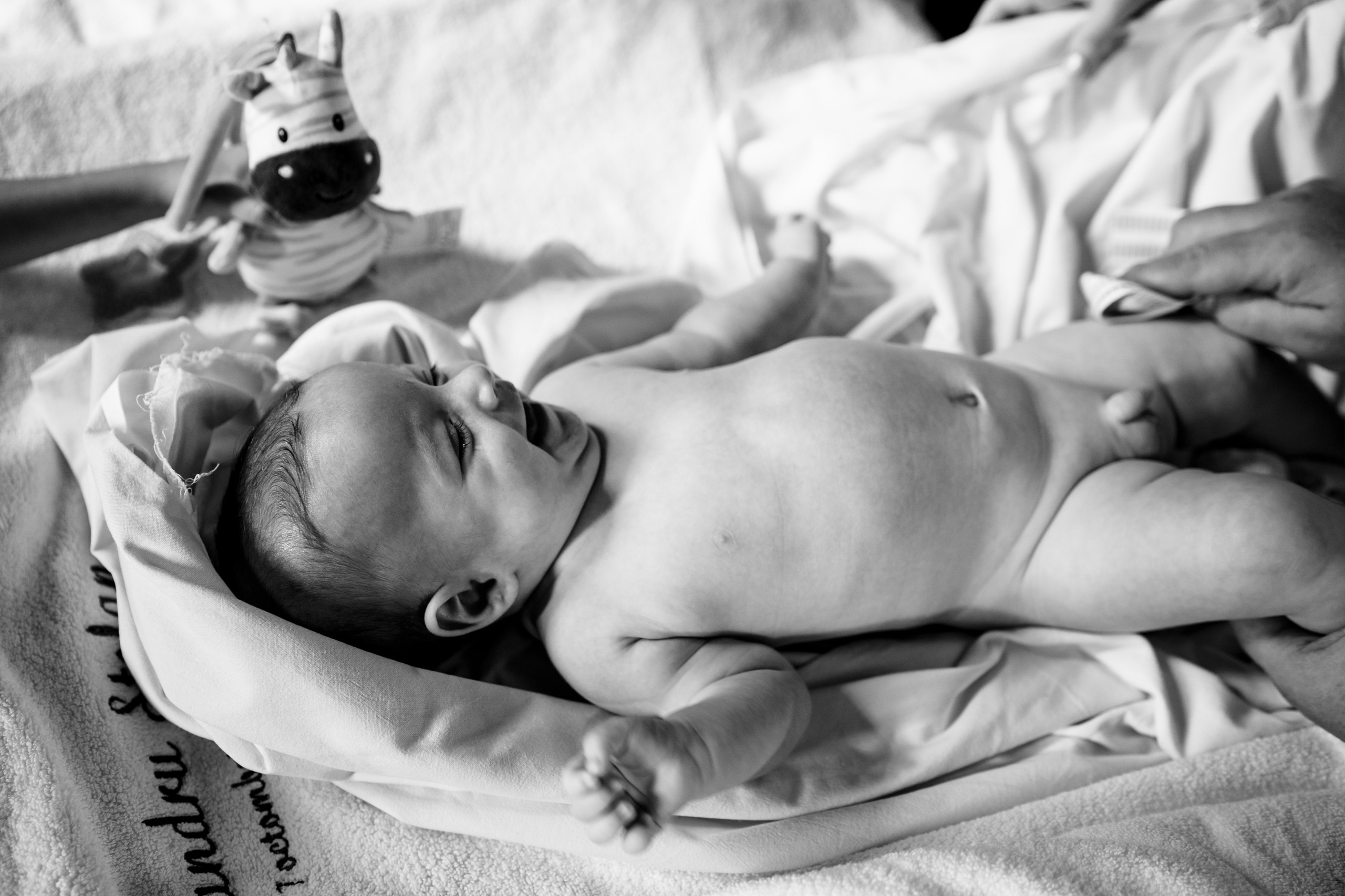 Sweetest devotion. Alexandru. Acasă