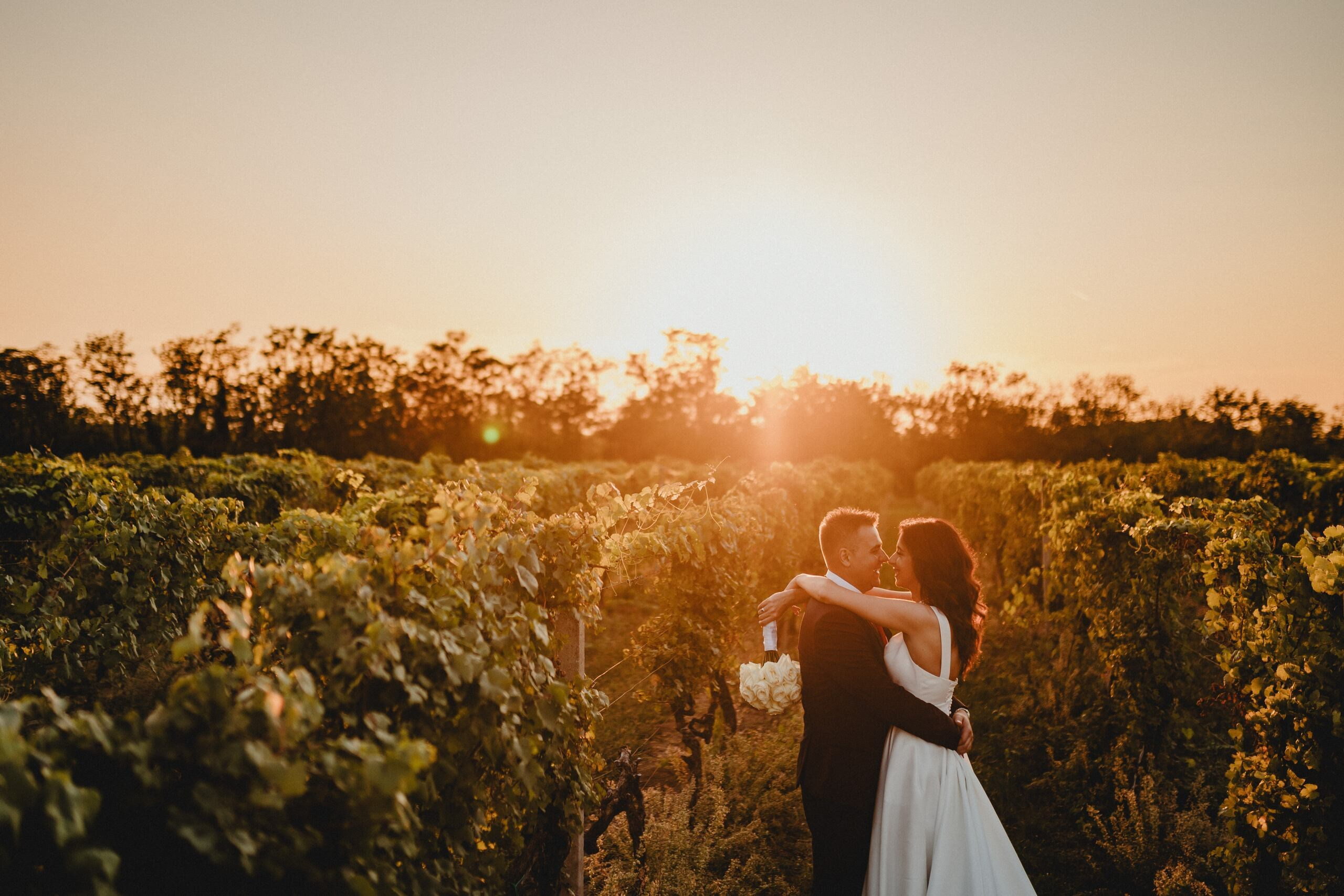 Portfolio. Wedding photographer based in Novi Sad, Marko Milivojevic