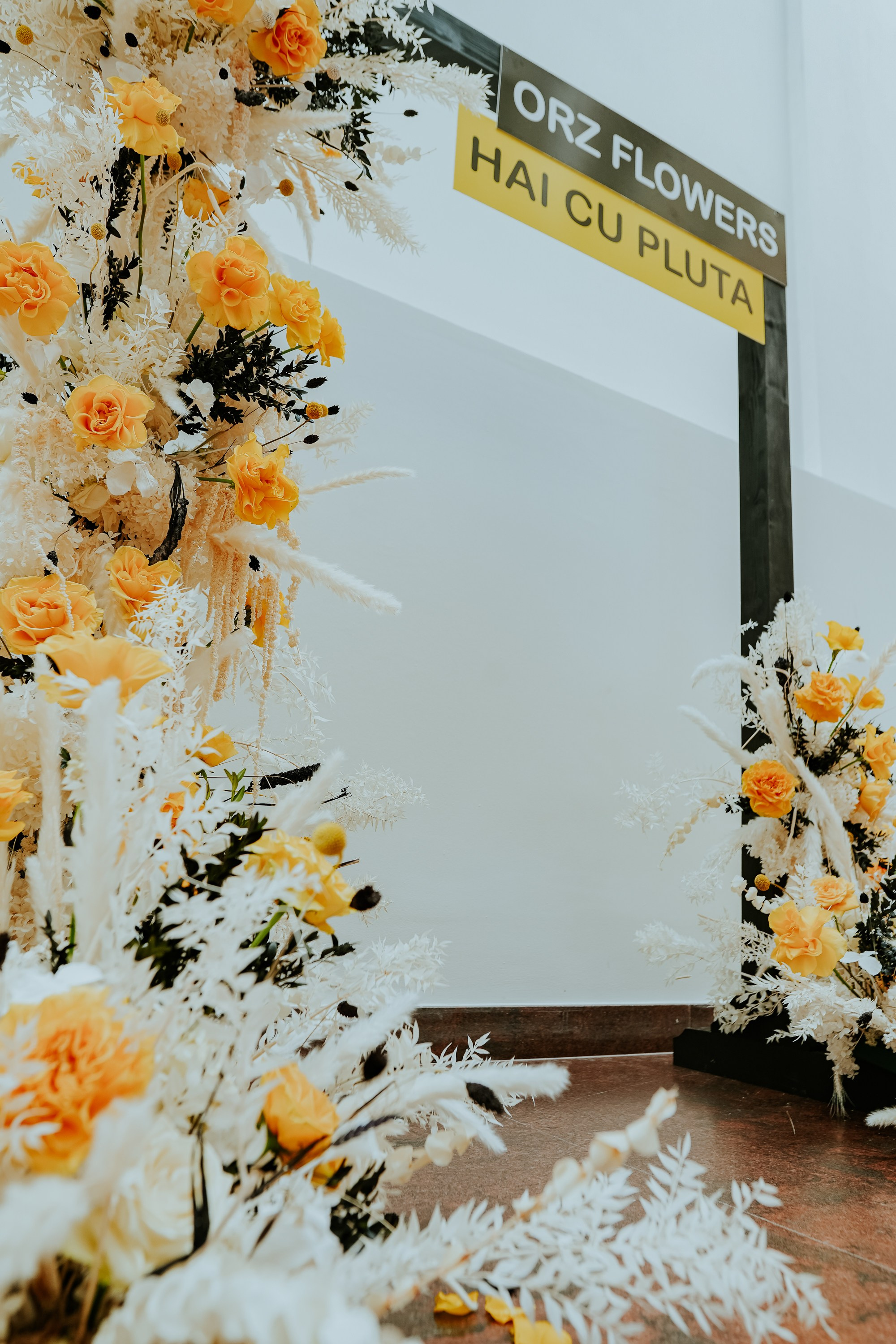 Hai cu Pluta — Wine Event. MARINABUGS