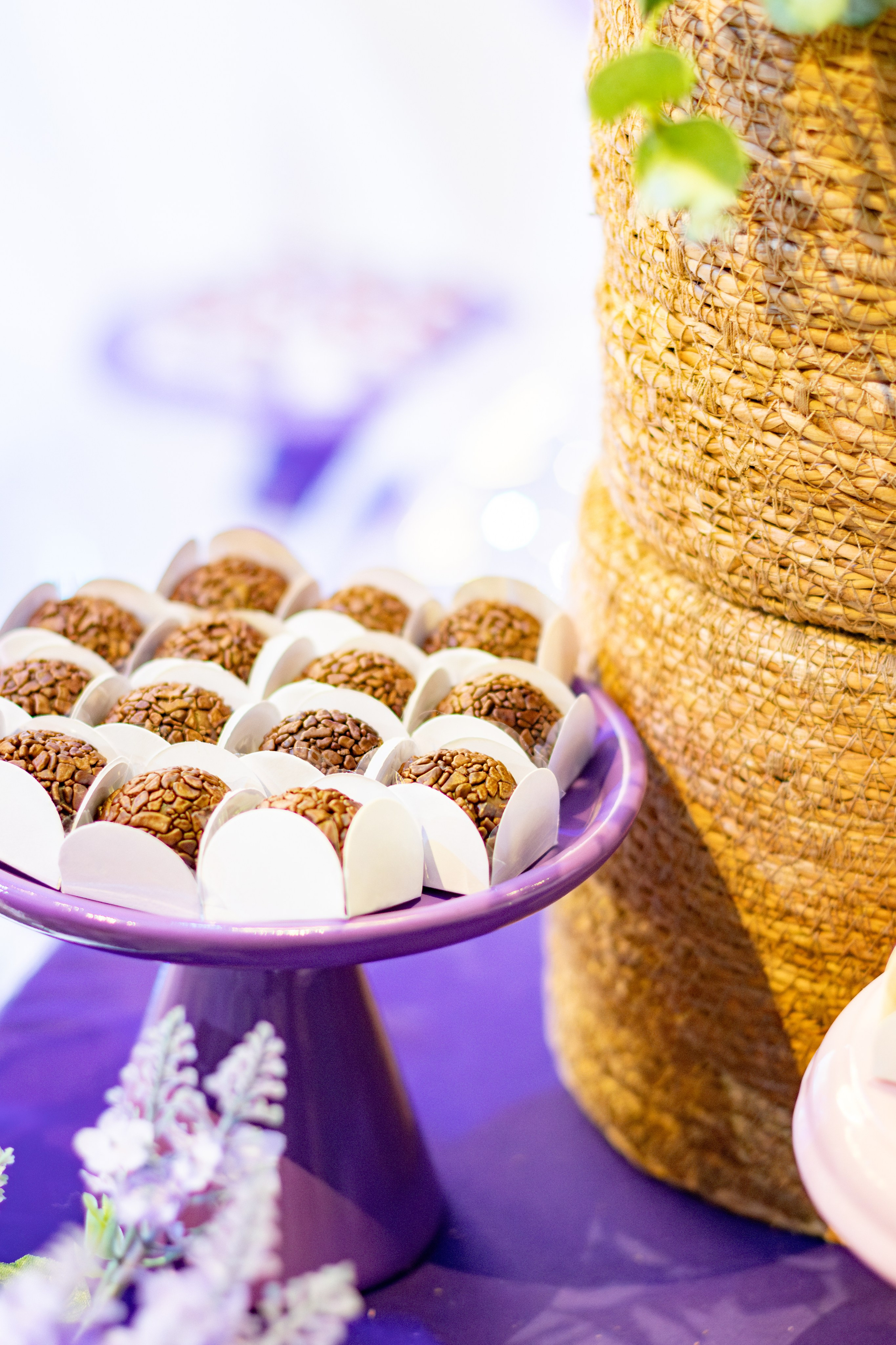 Stella — Aniversário 6 anos. Principal