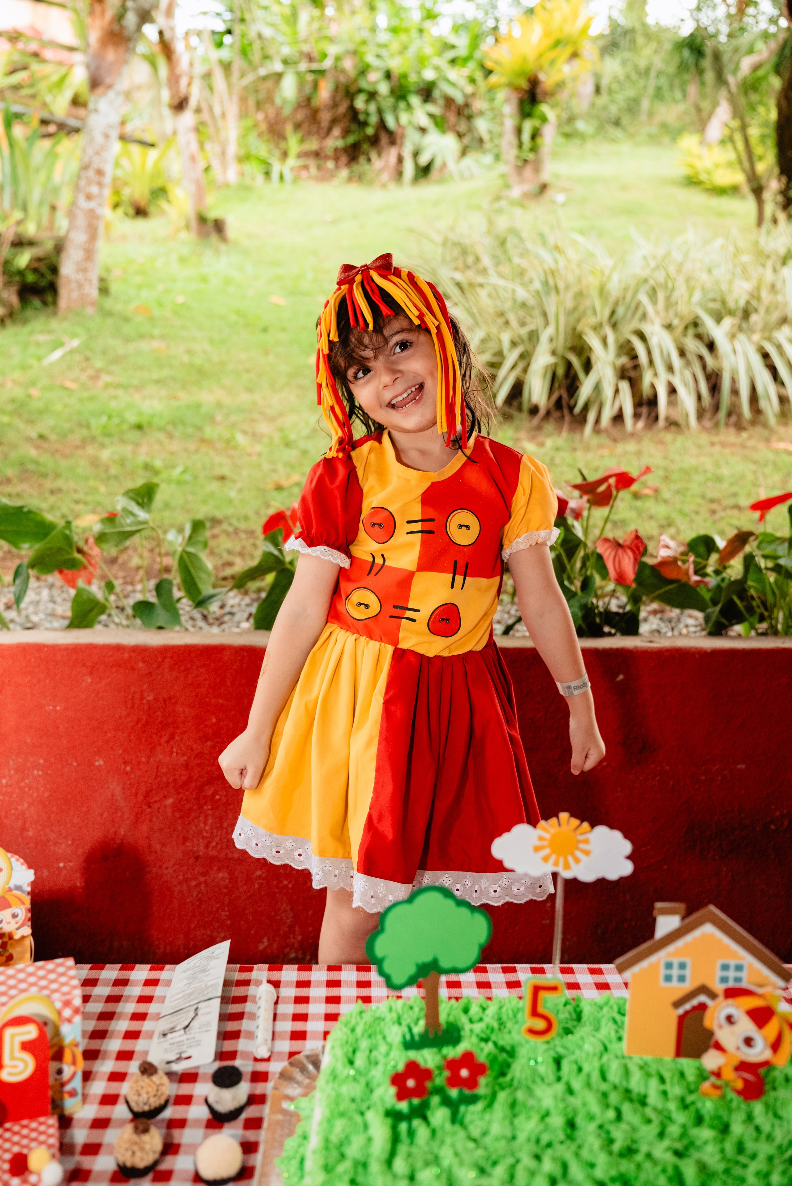 OS 5 anos da Bianca. Fotografo de casamentos e famílias no Espirito Santo — Marllus Milanez