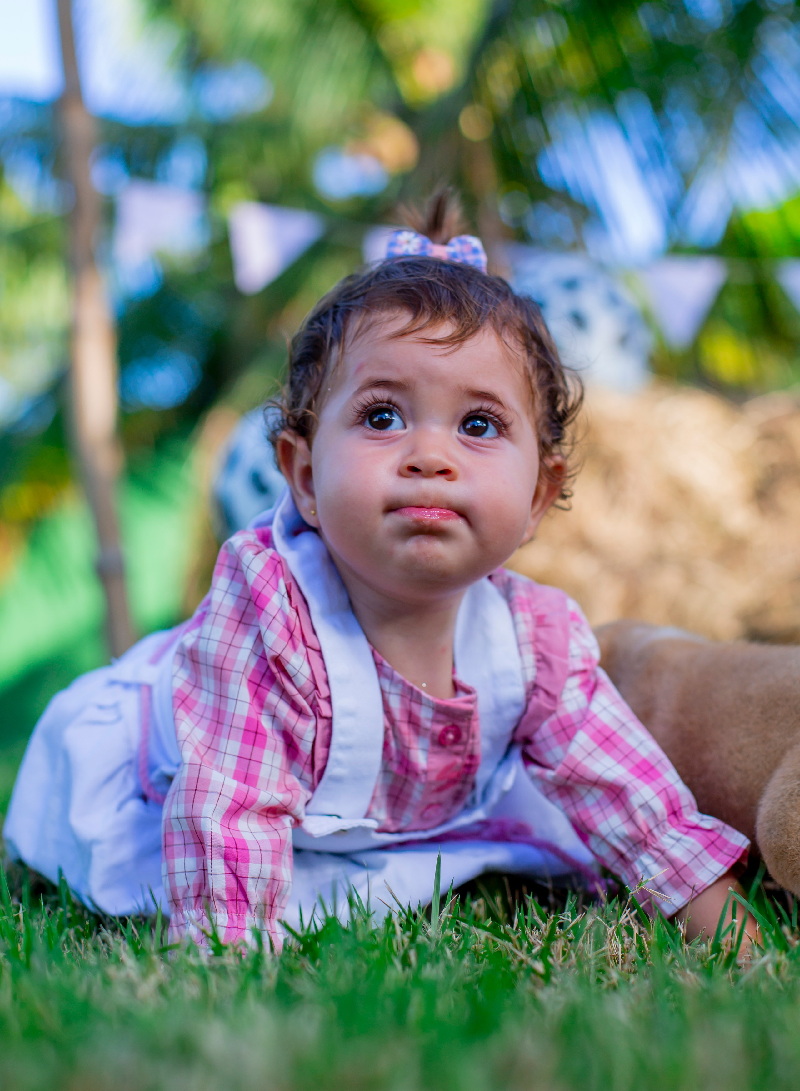Ensaio Hanna 1 Ano. Flavio Nunes Fotografia (Fotografo especializado em Fotografia de 15 Anos e Ensaios)