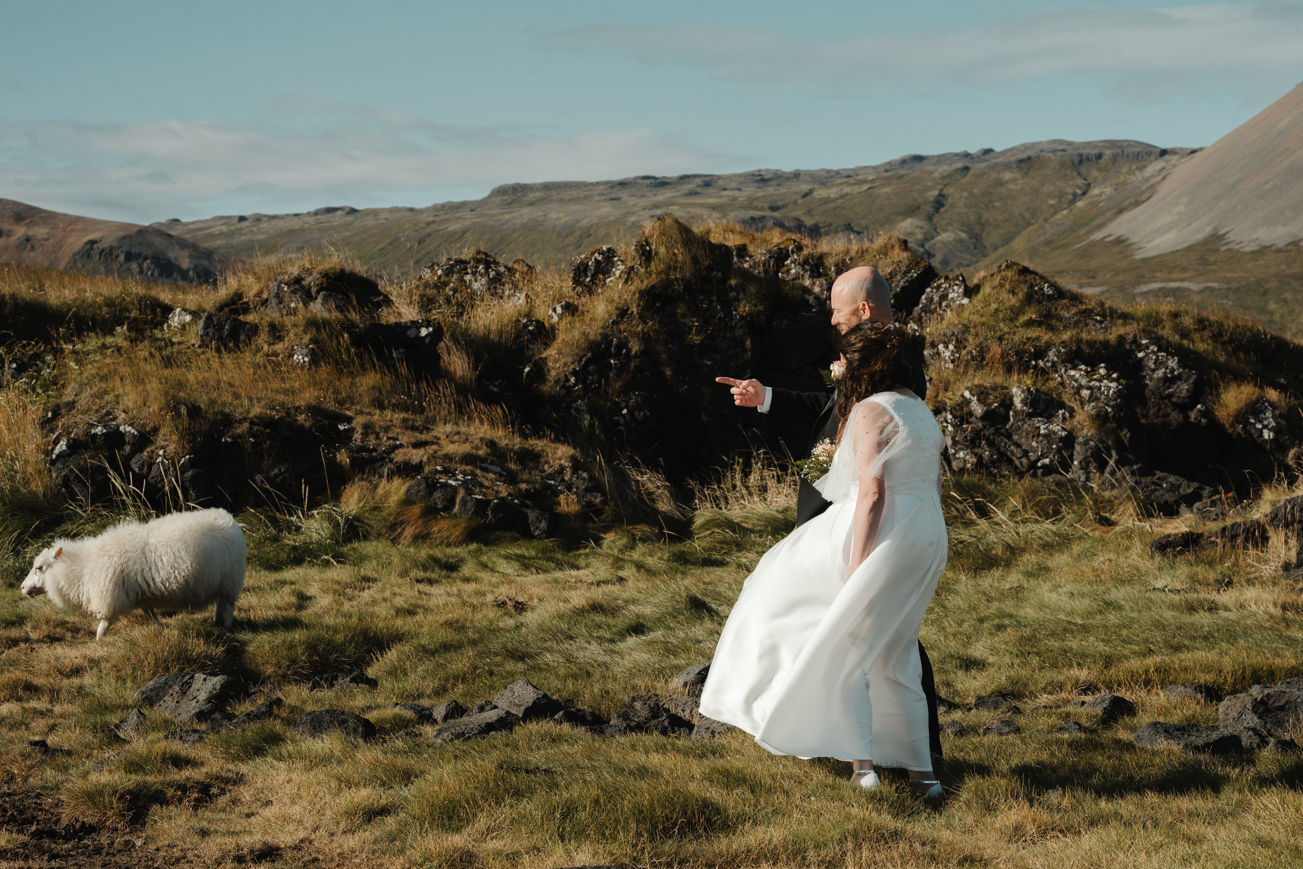 Bride in a flowing dress, gently petting a sheep near the rugged coastline of Snæfellsnes.