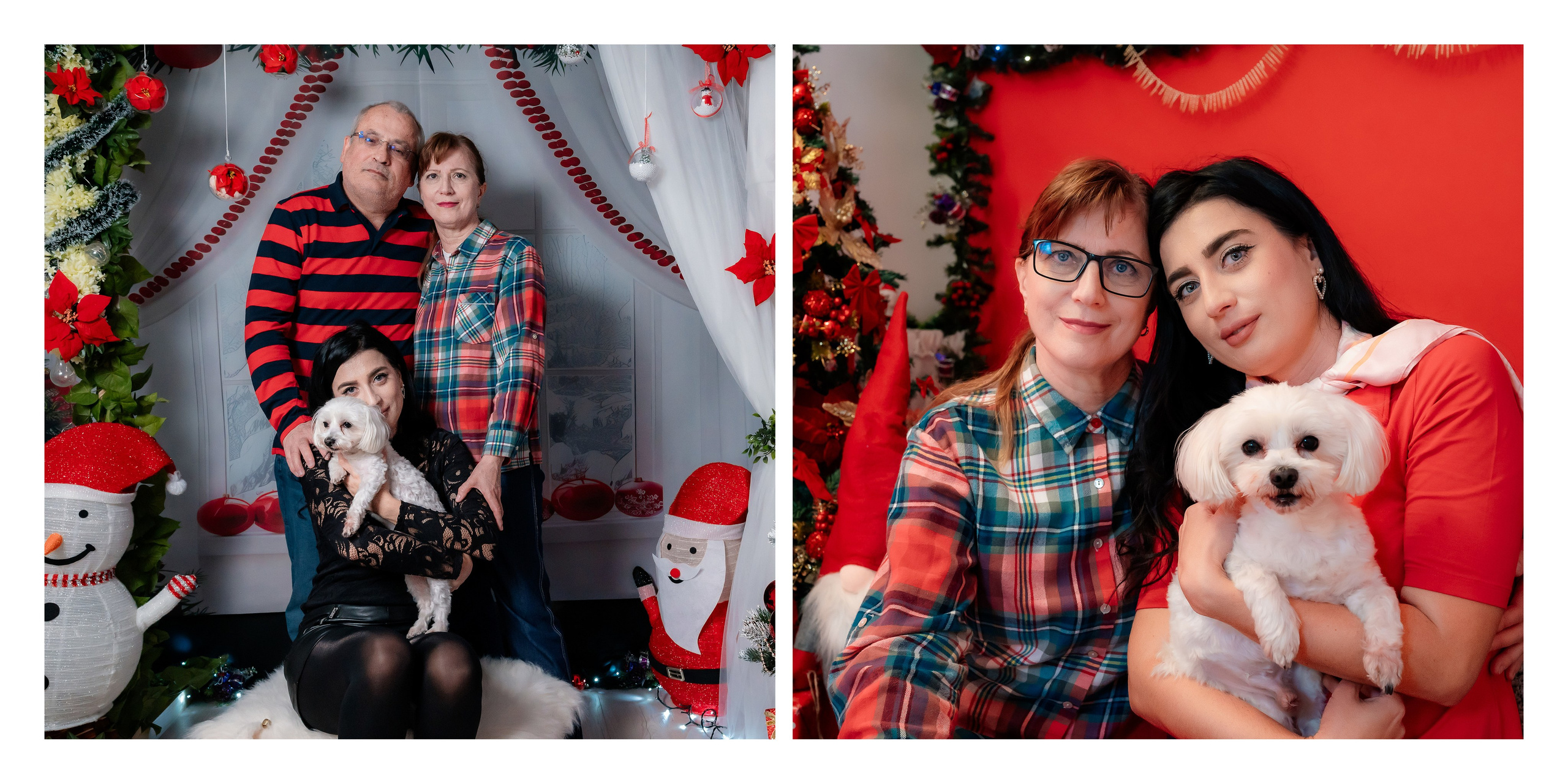 Album Craciun Alexandrina