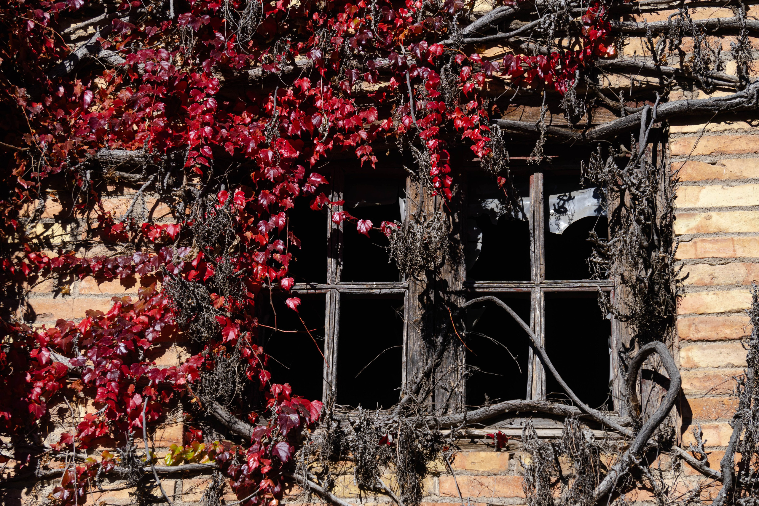 Bocetos. Alba del Norte Studio