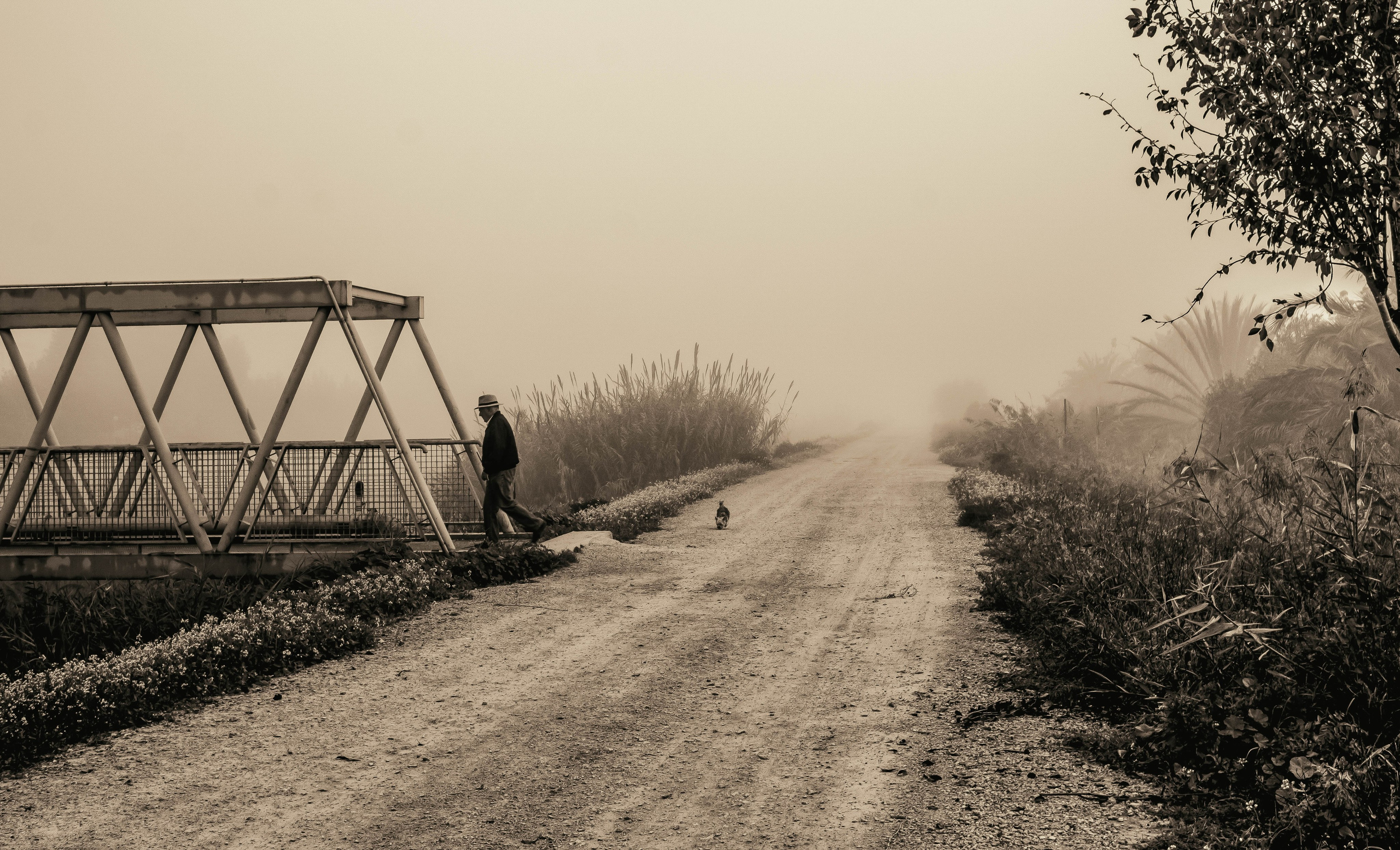 Rojales. Alba del Norte Studio