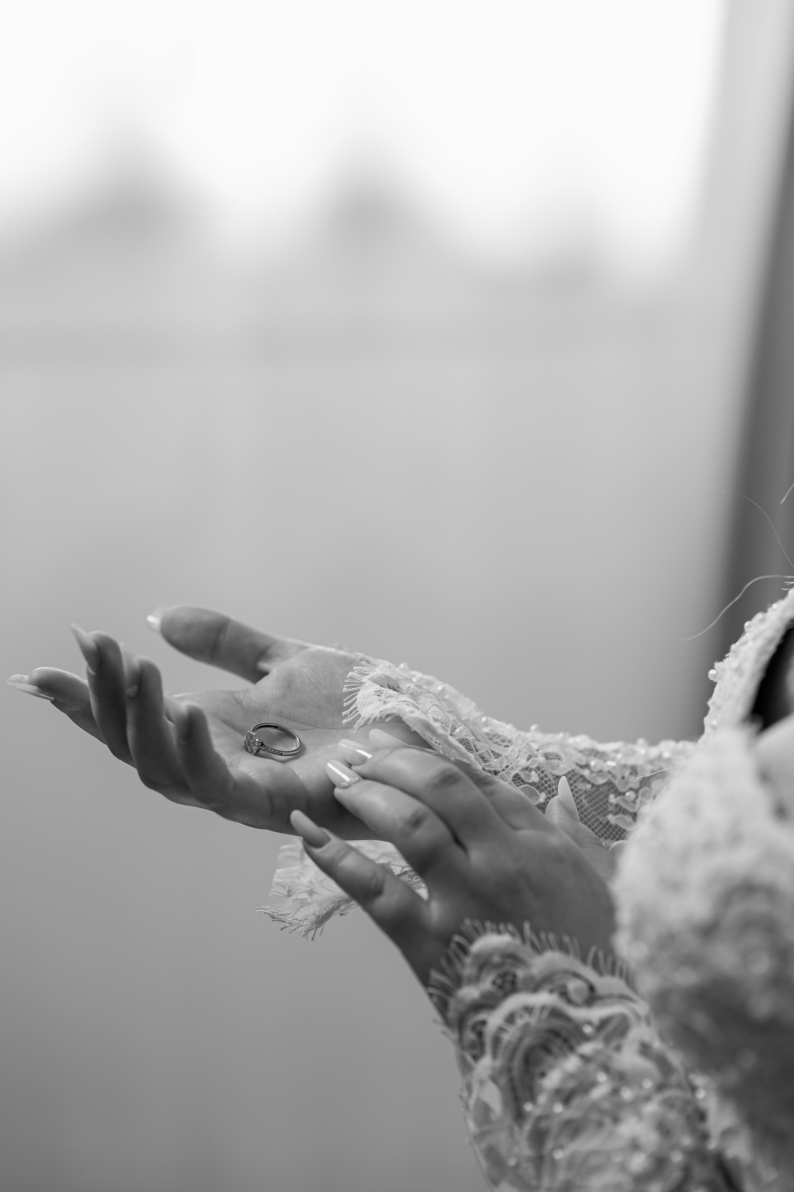Andreea & Andrei. Vladimir Constantinescu - Fotograf de nunta Constanta