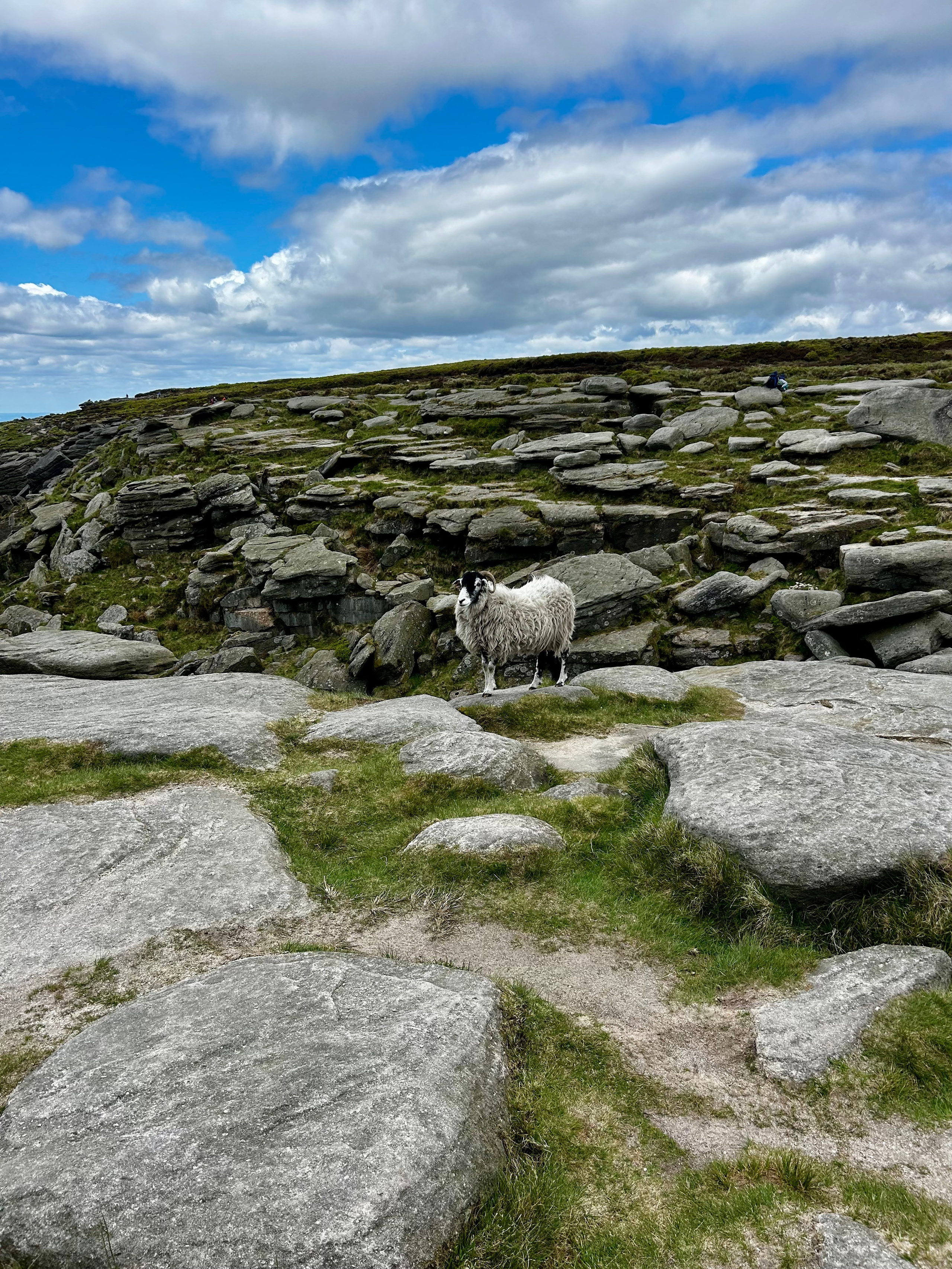 Manchester2025. Cal Takes Photos