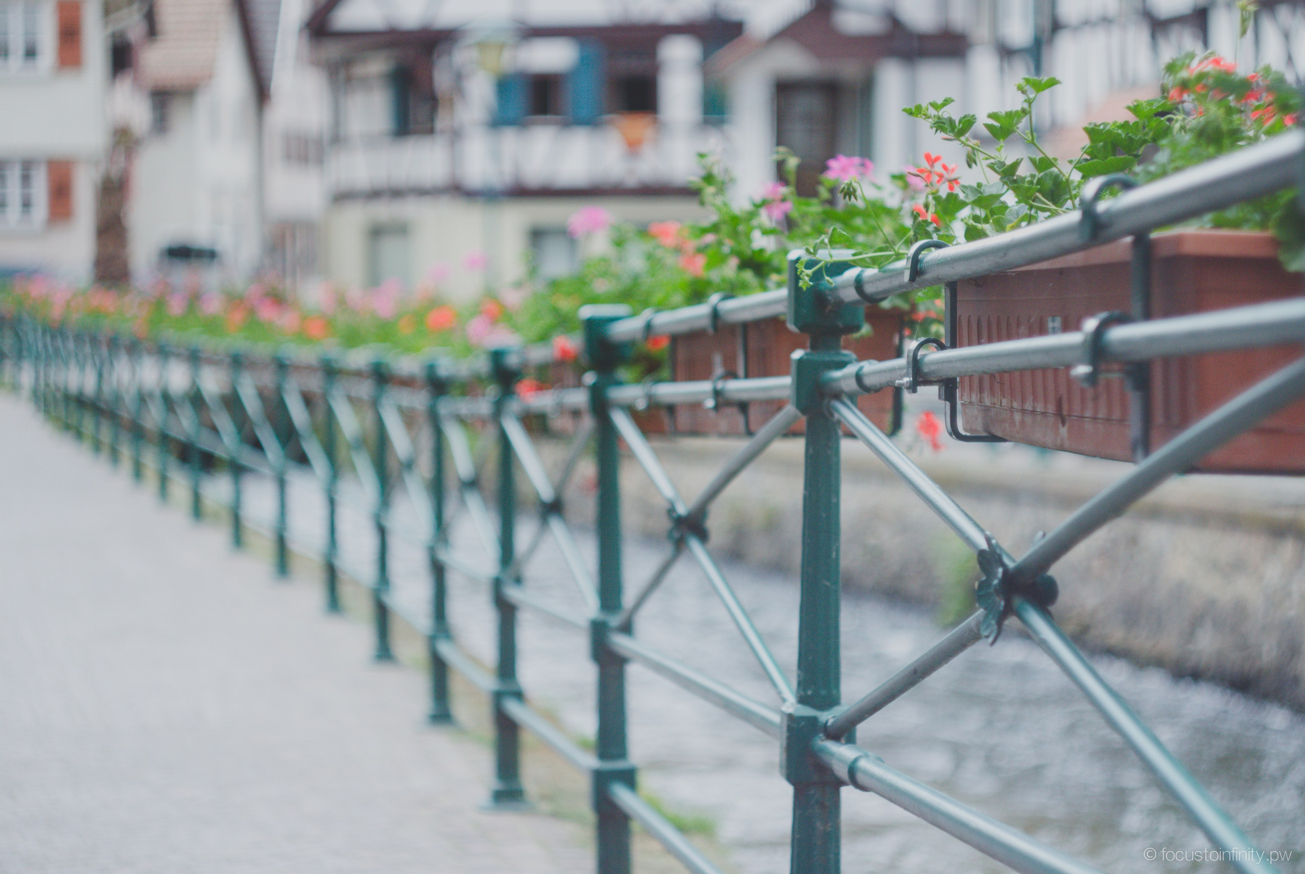 Oberkircher Erdbeerfest. Maria Chistyakovа — Fotografin in Karlsruhe, Baden-Baden und Umgebung