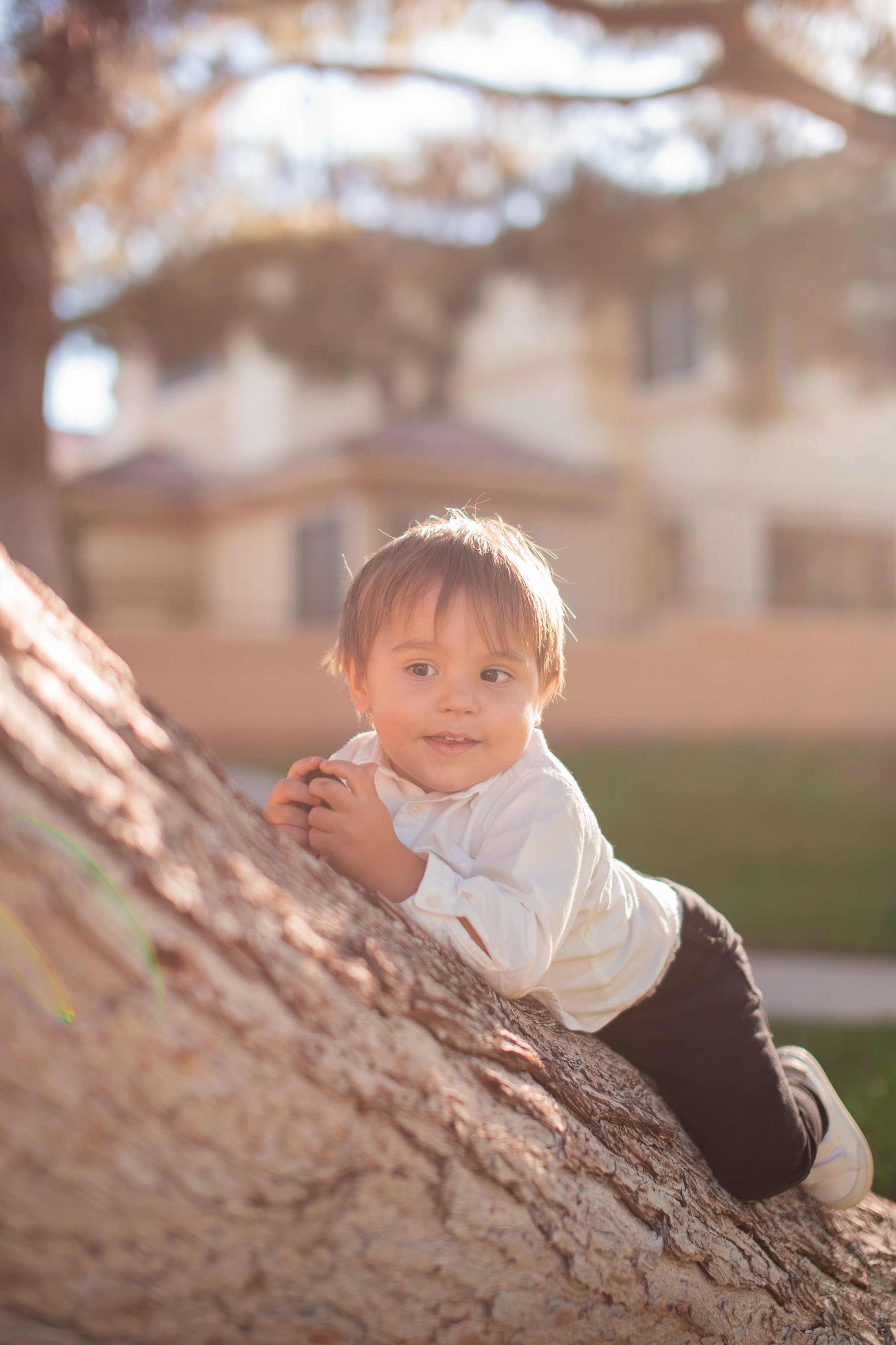 Fall'23. Wedding & elopement photographer Viktoriya Kravtsov. Las Vegas