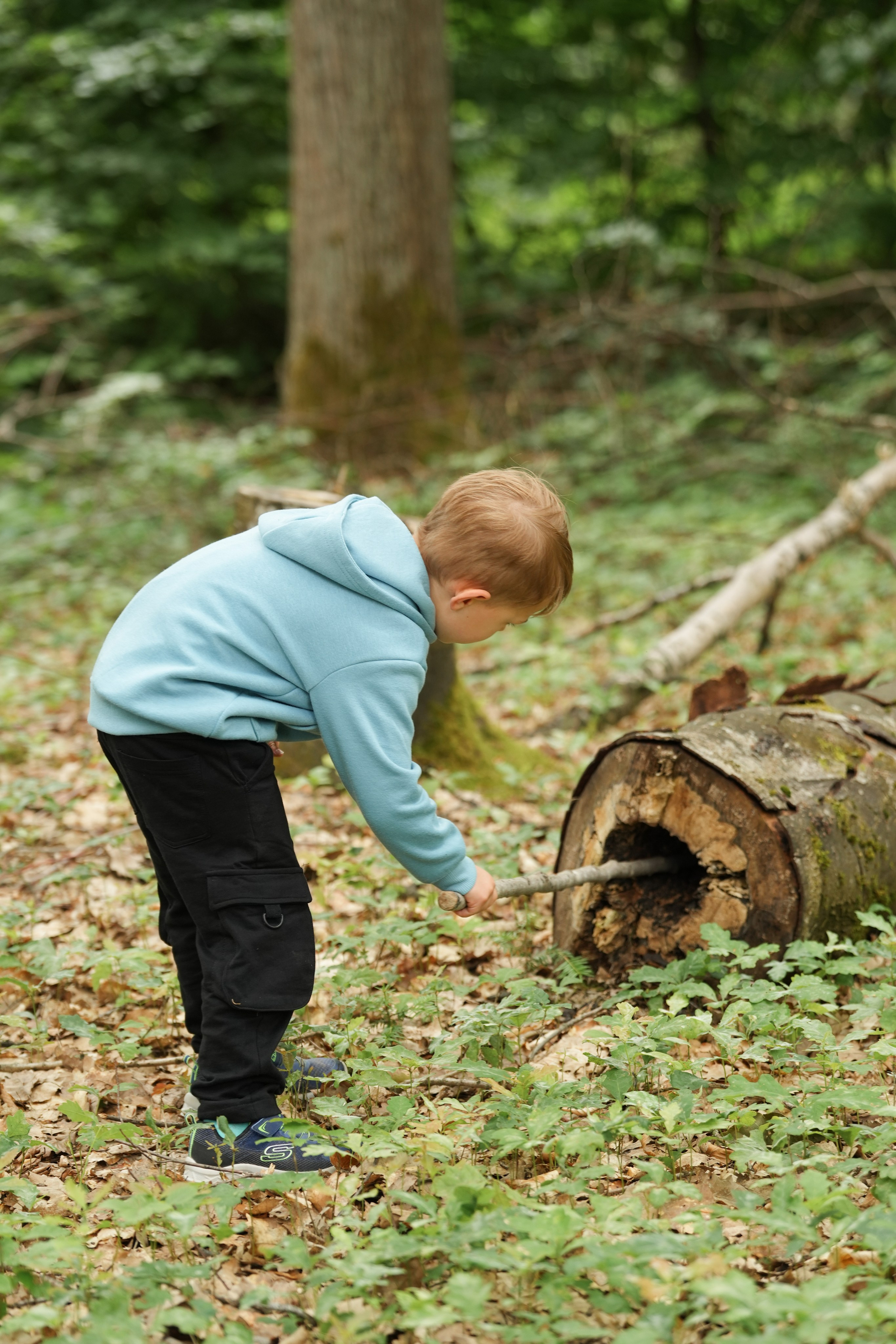 Waldkindergarten. Www.alberti-fotograf.de