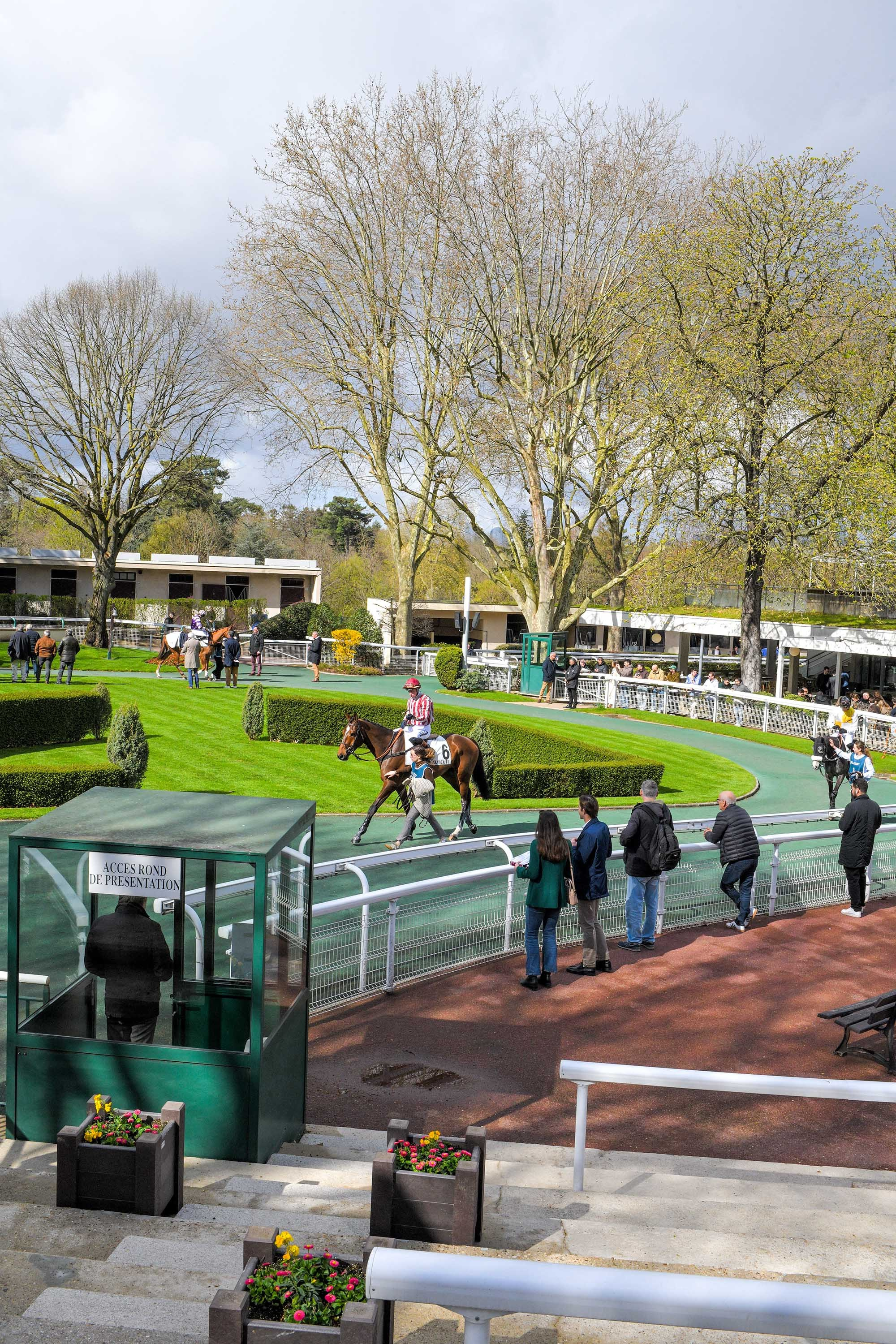 Racehorses in the parade ring at Hippodrome d’Auteuil Paris
