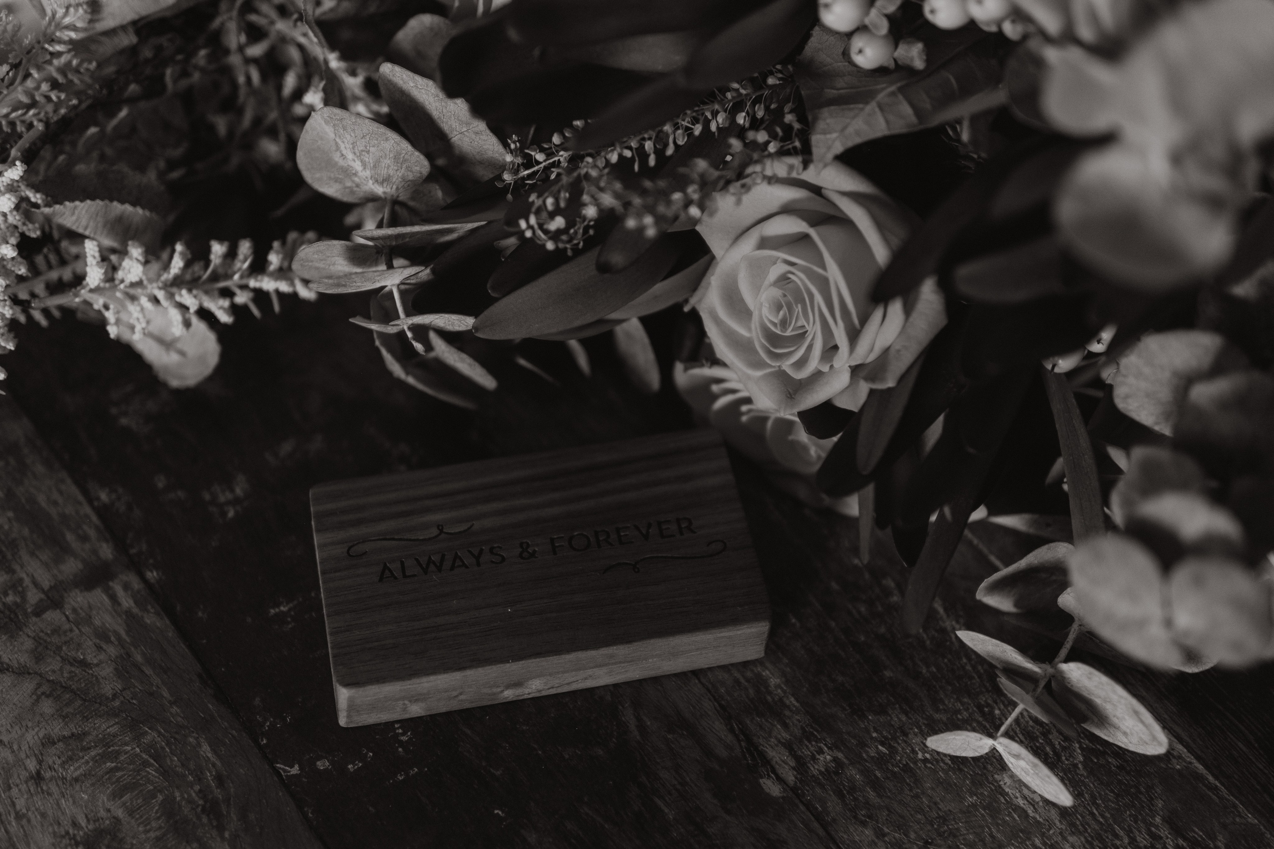 Till Death us do Part. Lens Captures Life