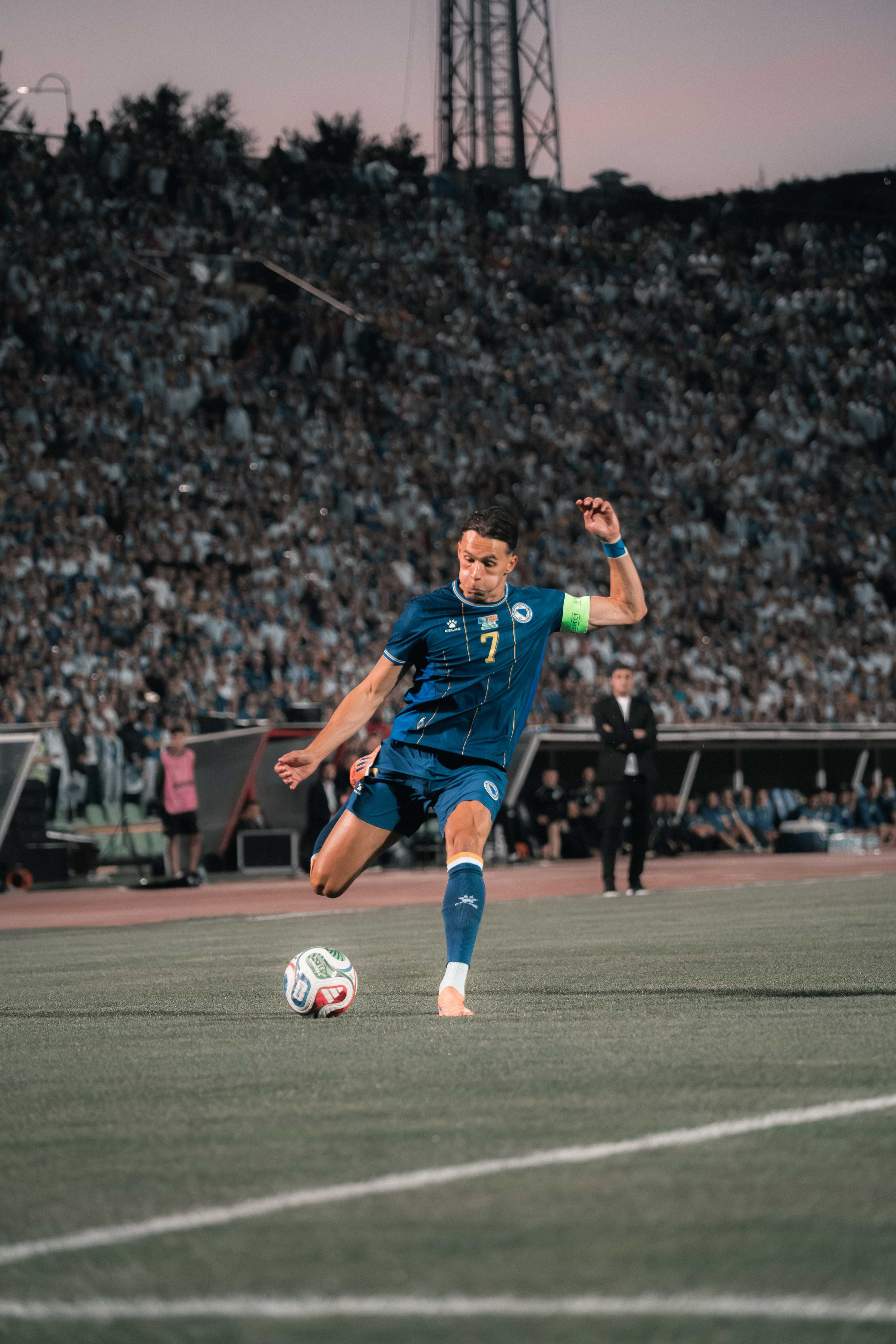 Bosnia and Herzegovina — National Team. Ammar Šabić