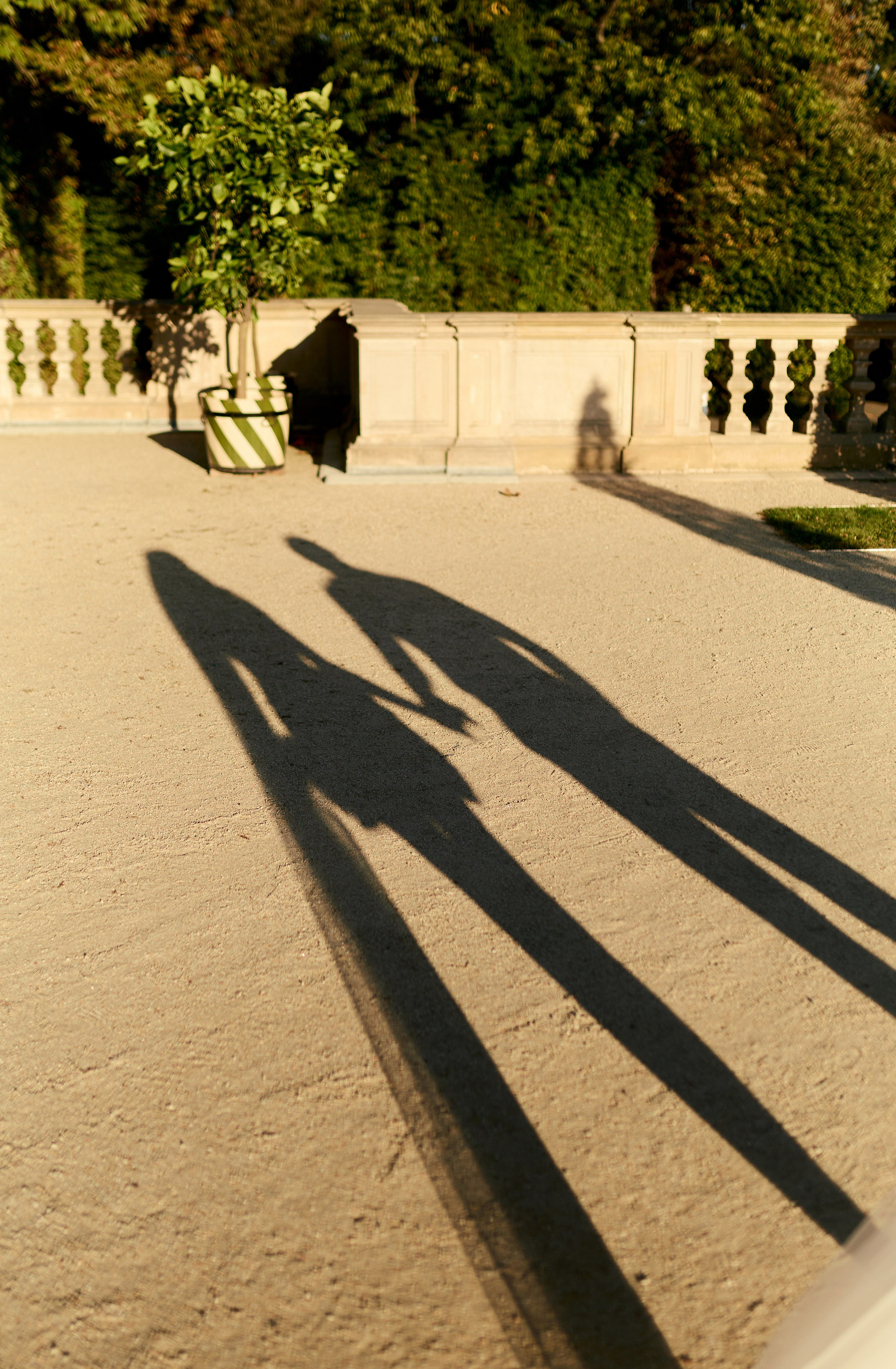 Андрій + Карина. Весільний, сімейний фотограф Варшава