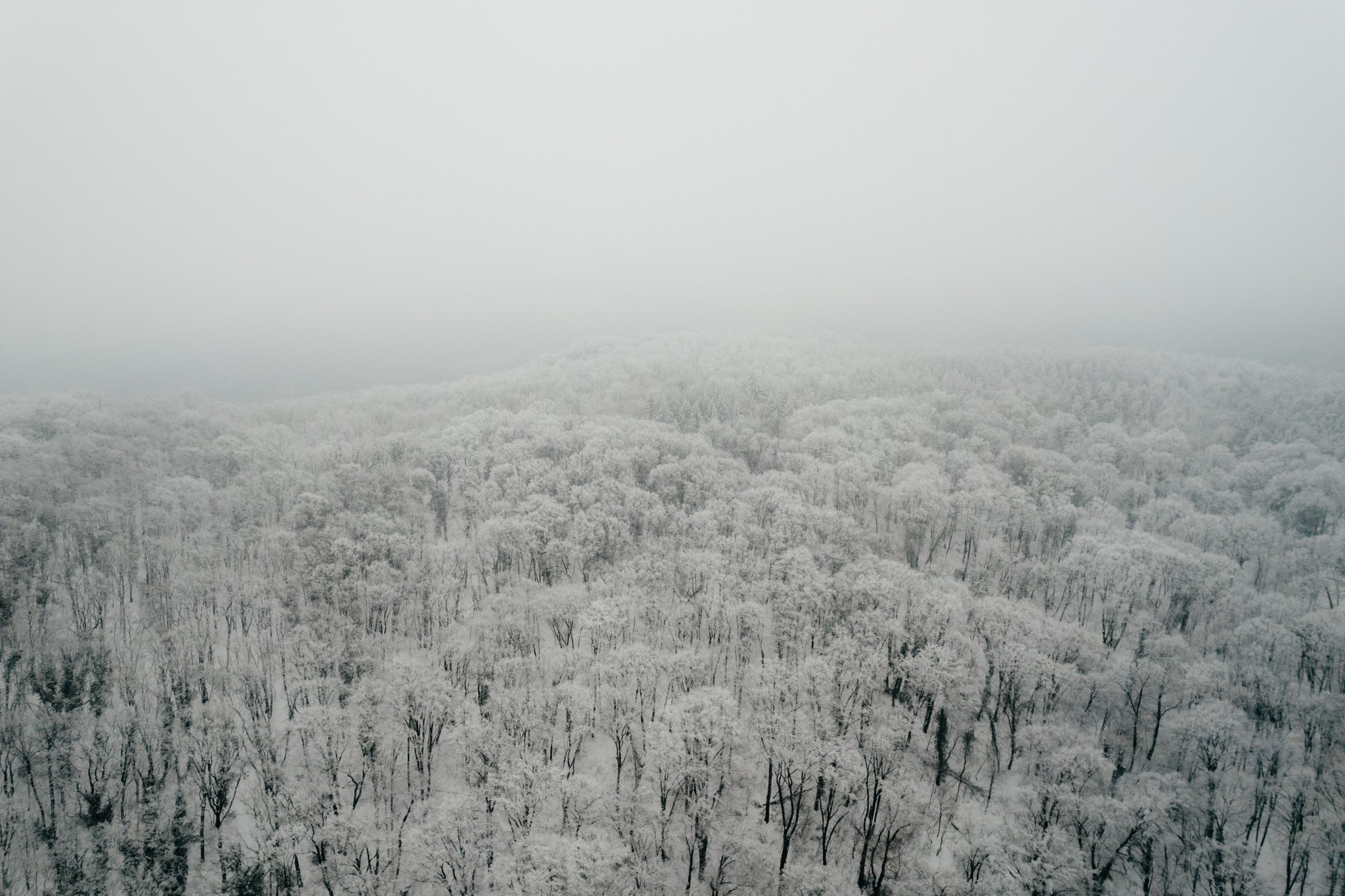 Landscape photography. Wedding photography