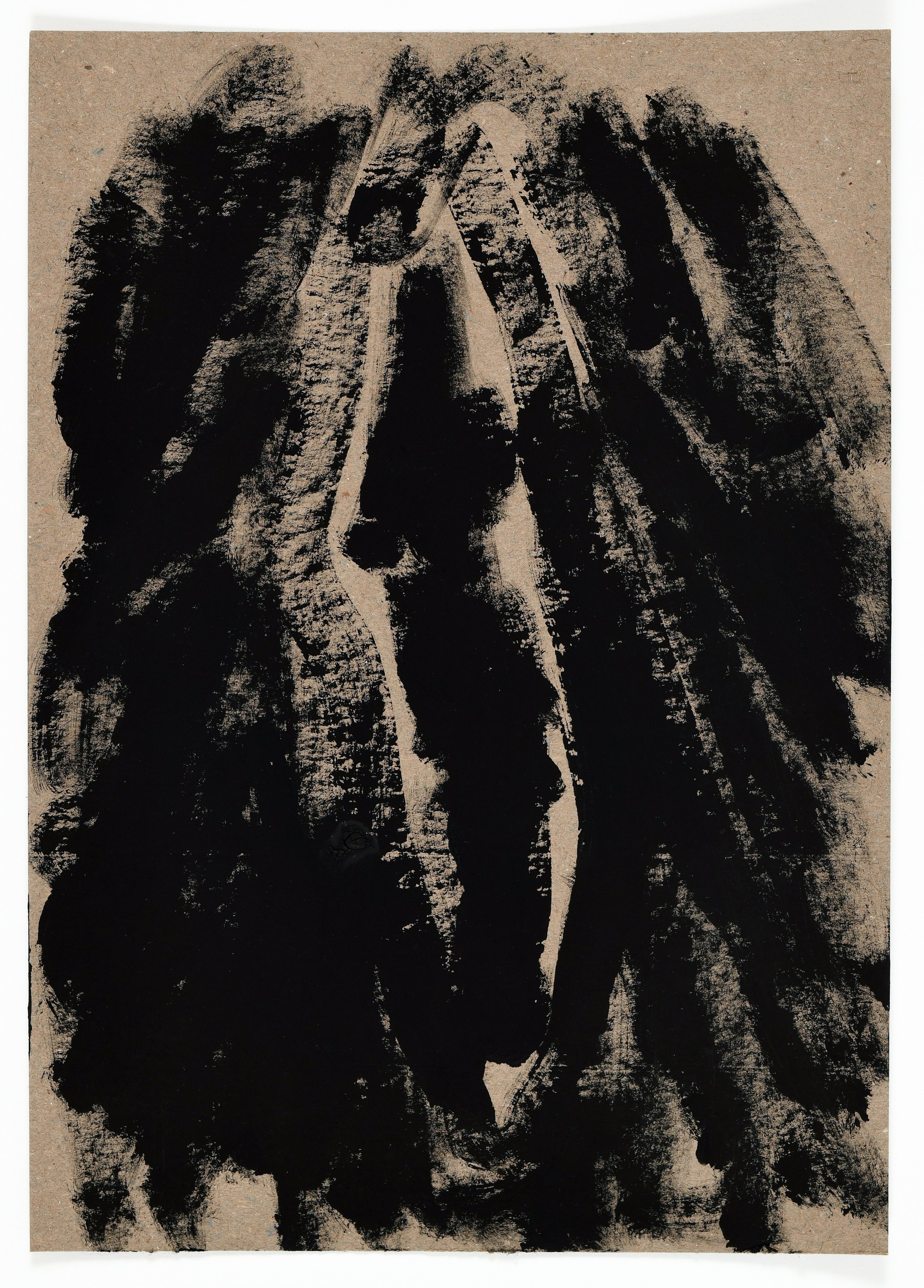 Birds and rats, 2020. Haim Sokol’s artists website