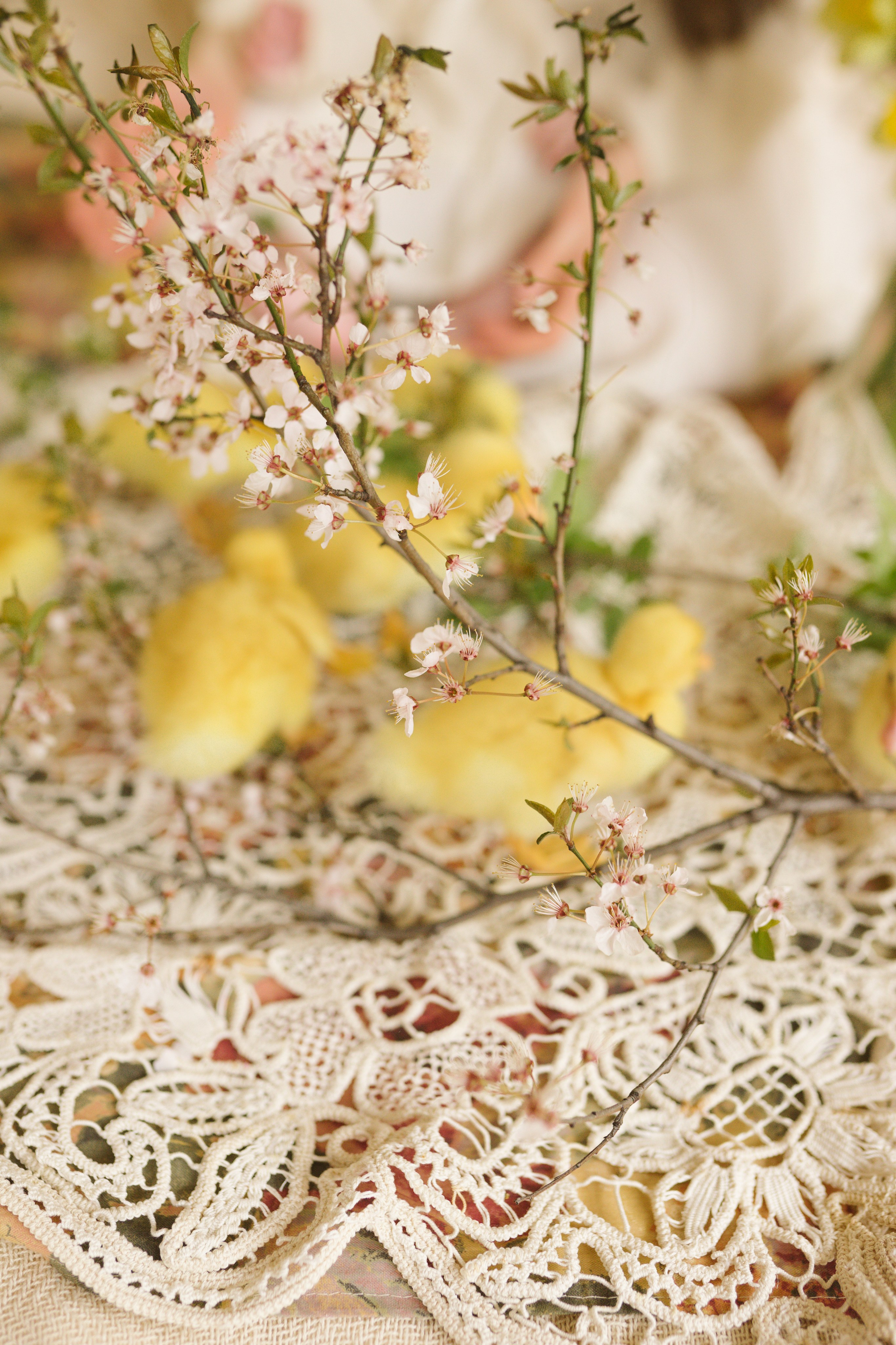 Ședințe Foto de Paște Brașov: Gălbenuș | Mădălina Beda. Madalina Beda- Artist vizual, fotograf, doula la nastere, consultant babywearing Brasov si in toata tara