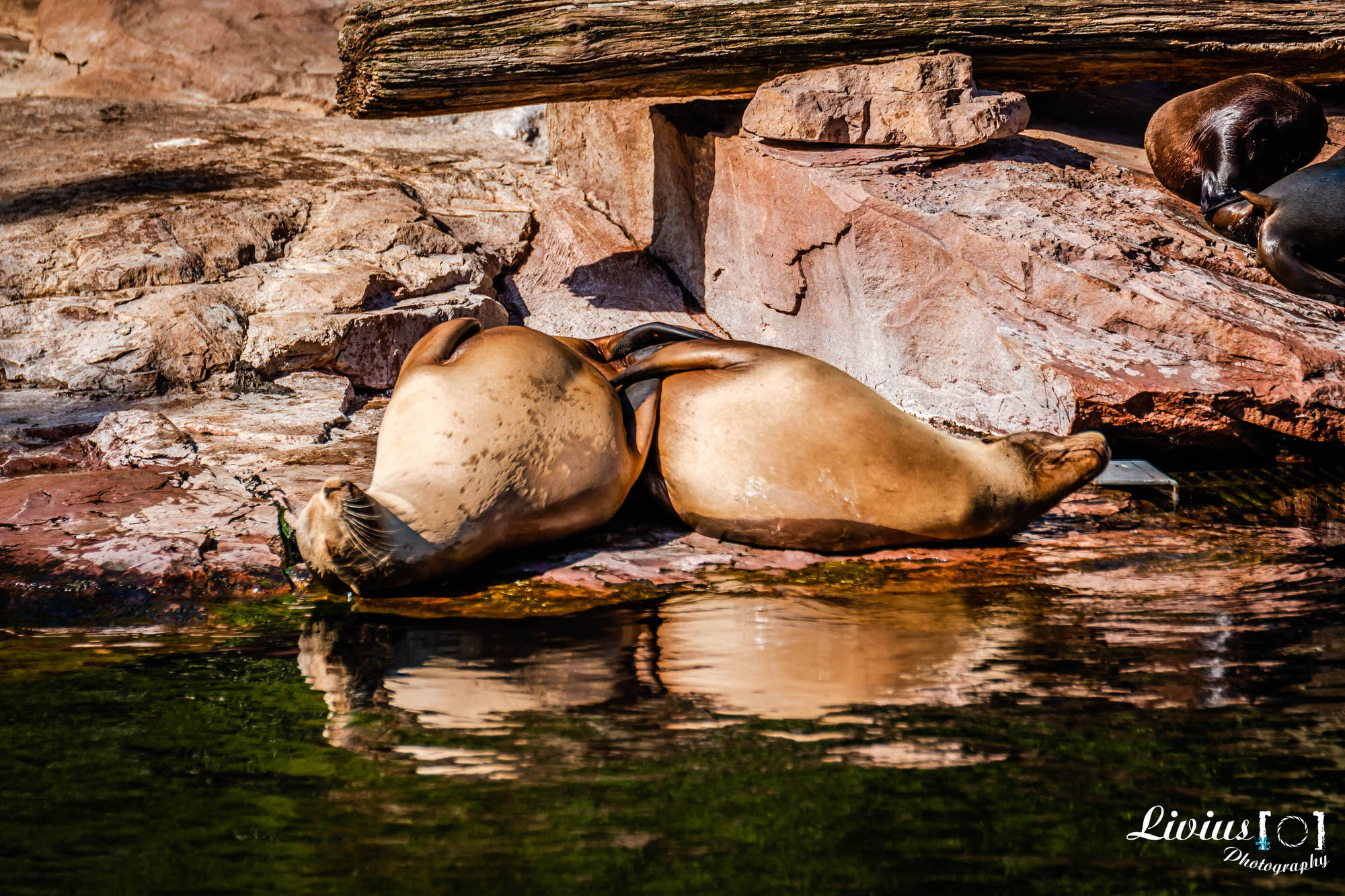 Tierpark Nürnberg. FOTO KREATIV