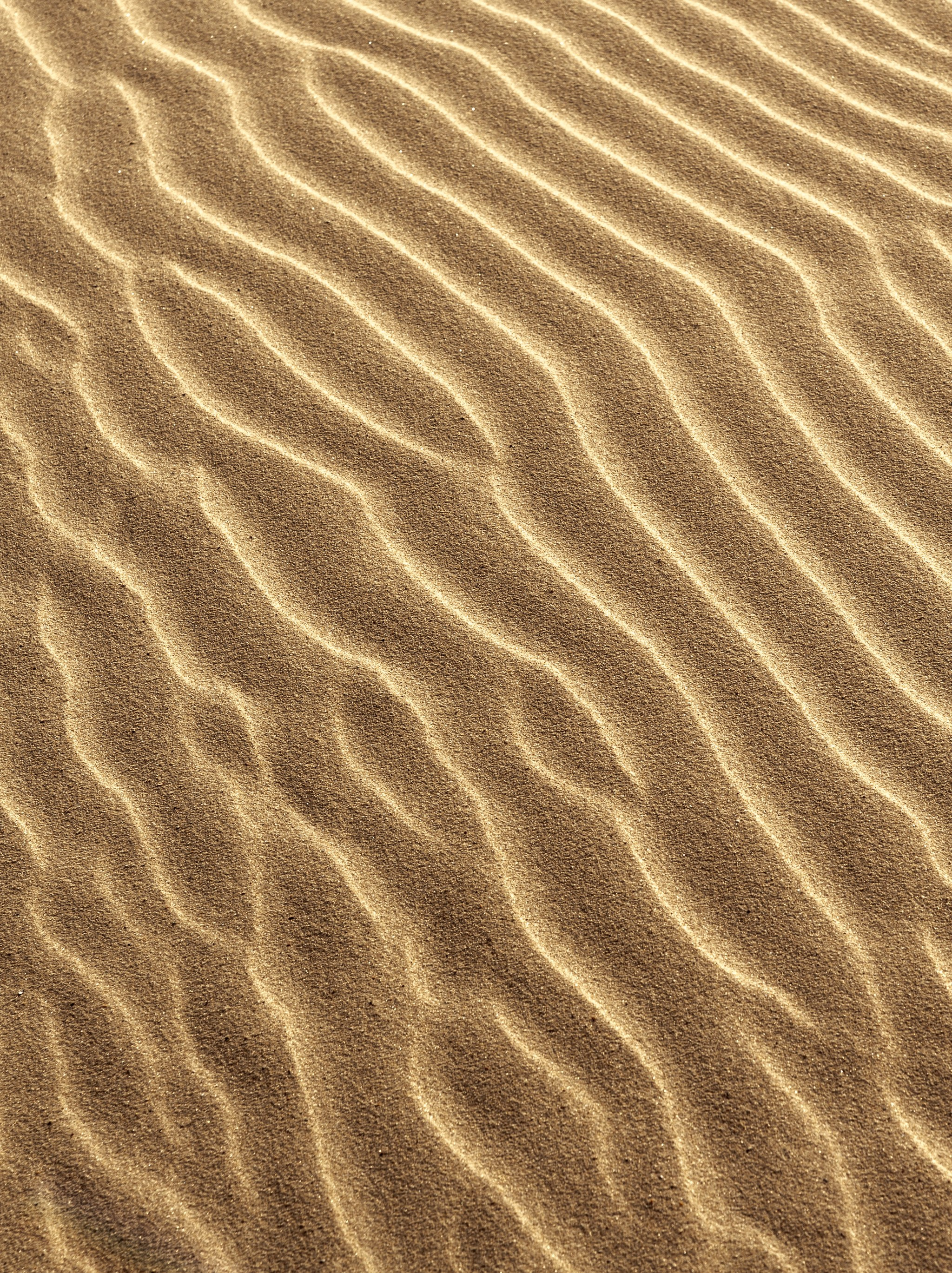 Intimate Landscapes. Nature Photographer and Videographer from Germany