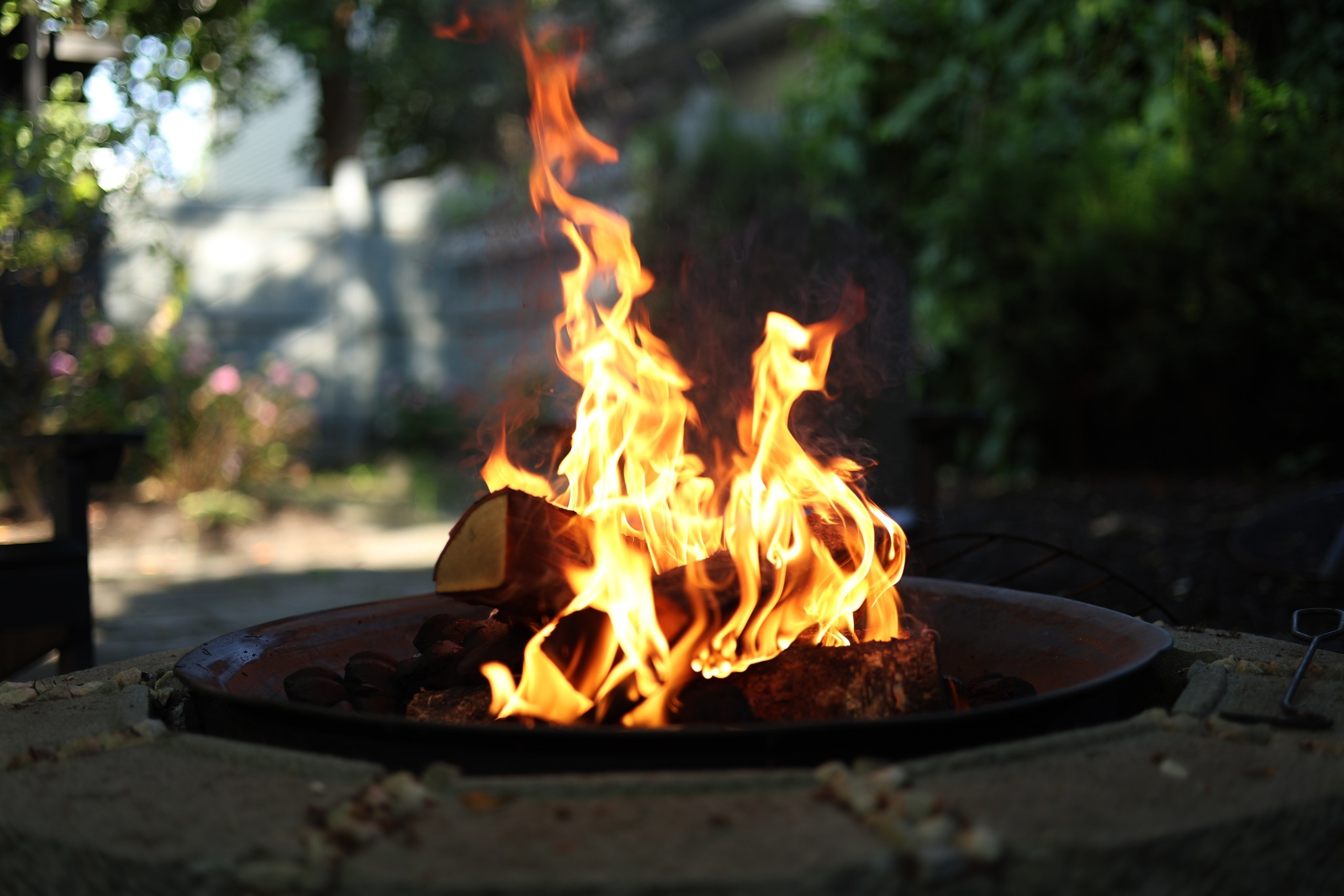 Events. ARTAMIND Photography. Portraits, Family Sessions, Events. Buffalo, NY