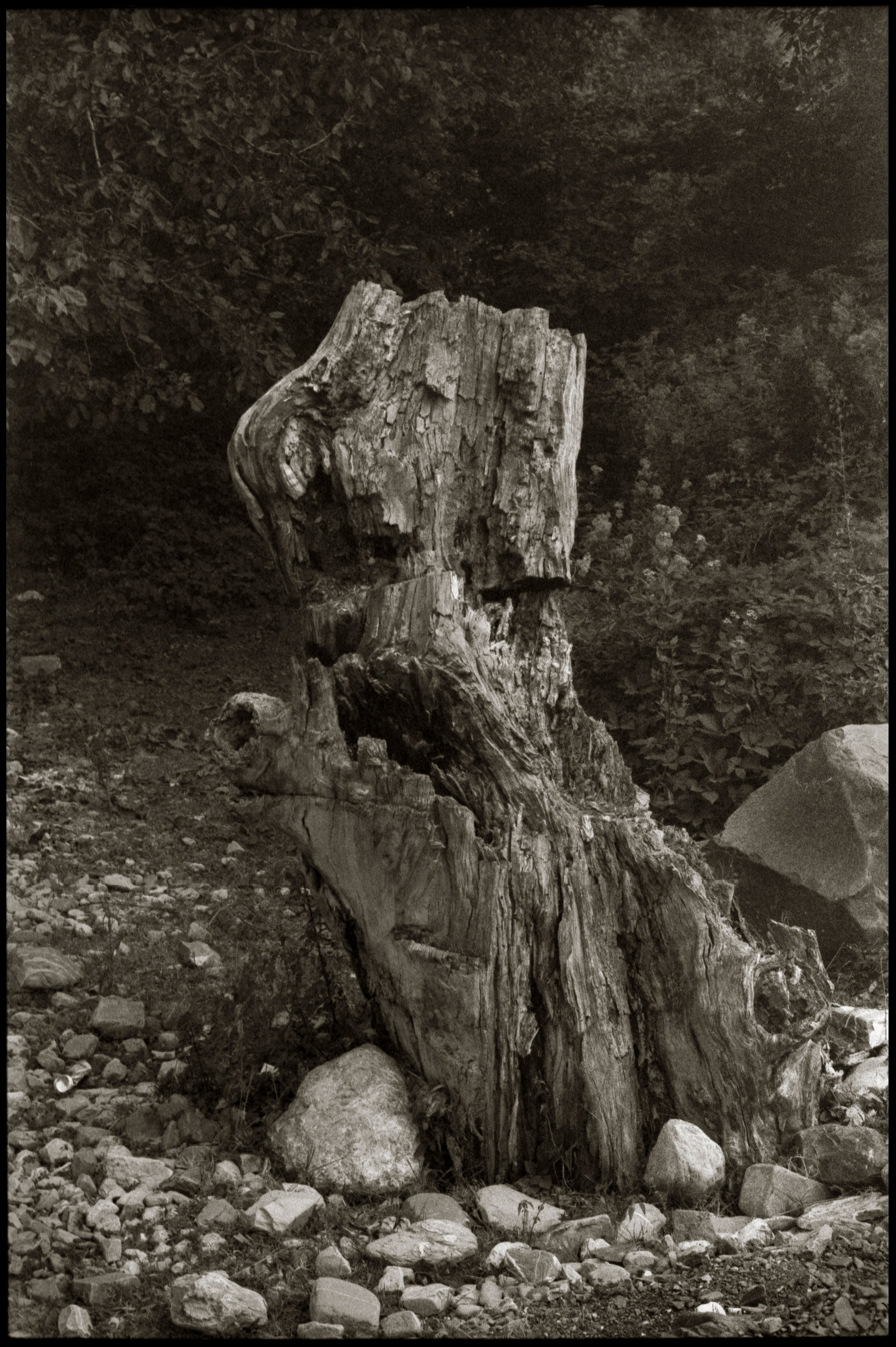 NATURE. Www.sananaleskerov.com