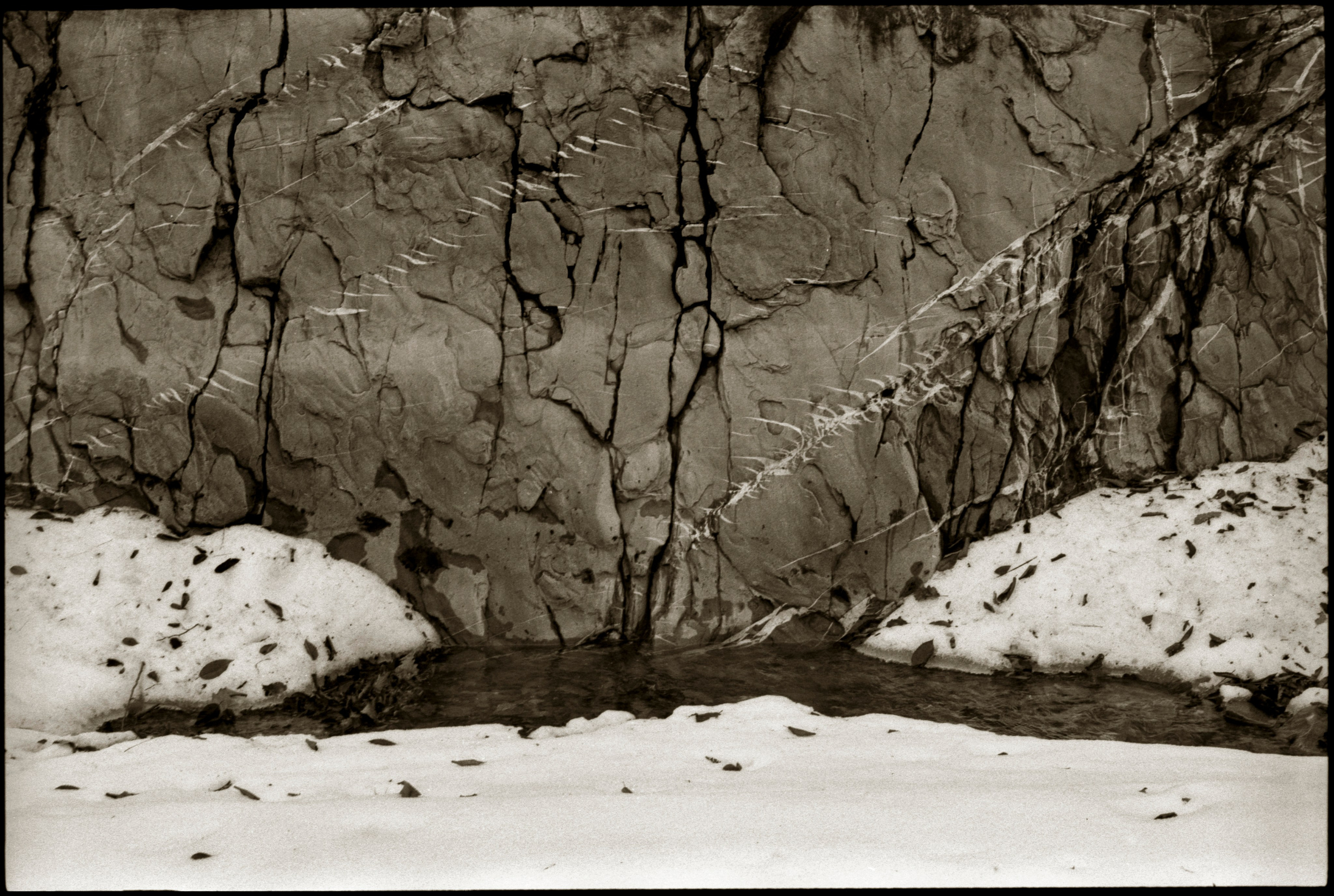 NATURE. Www.sananaleskerov.com