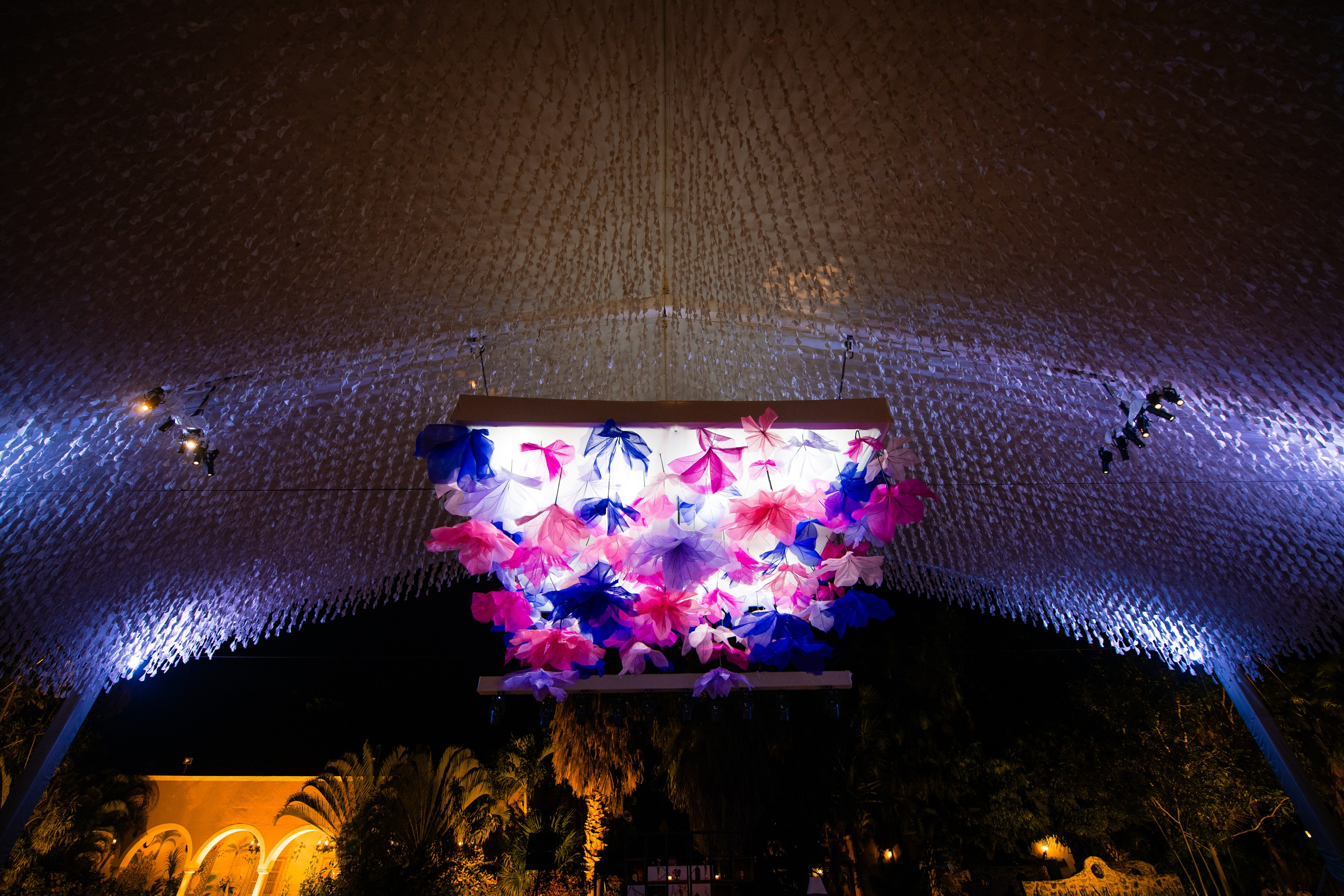 Sofia & Albert. Antonio Soberano Photography