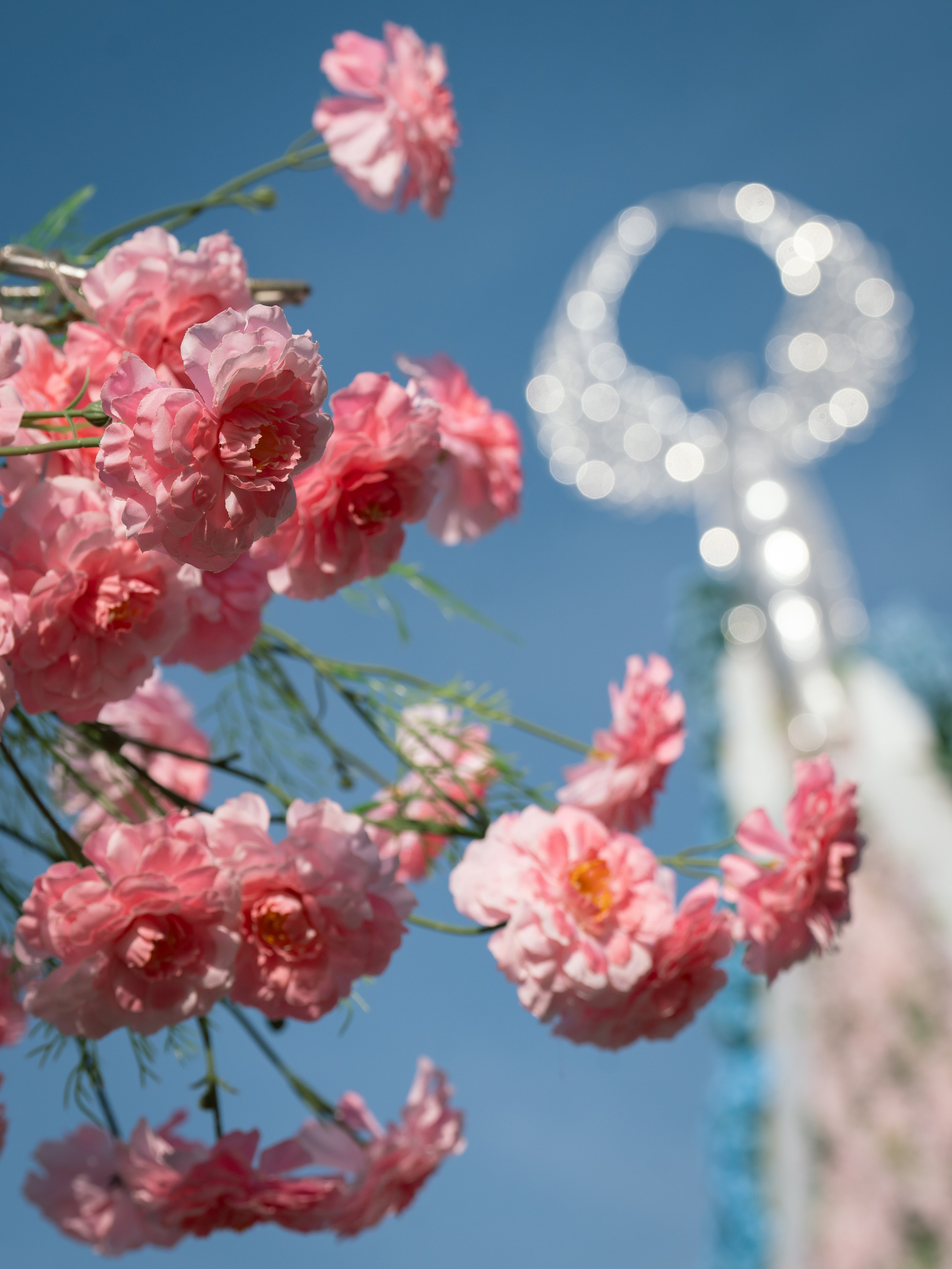 Flower Fest 2026