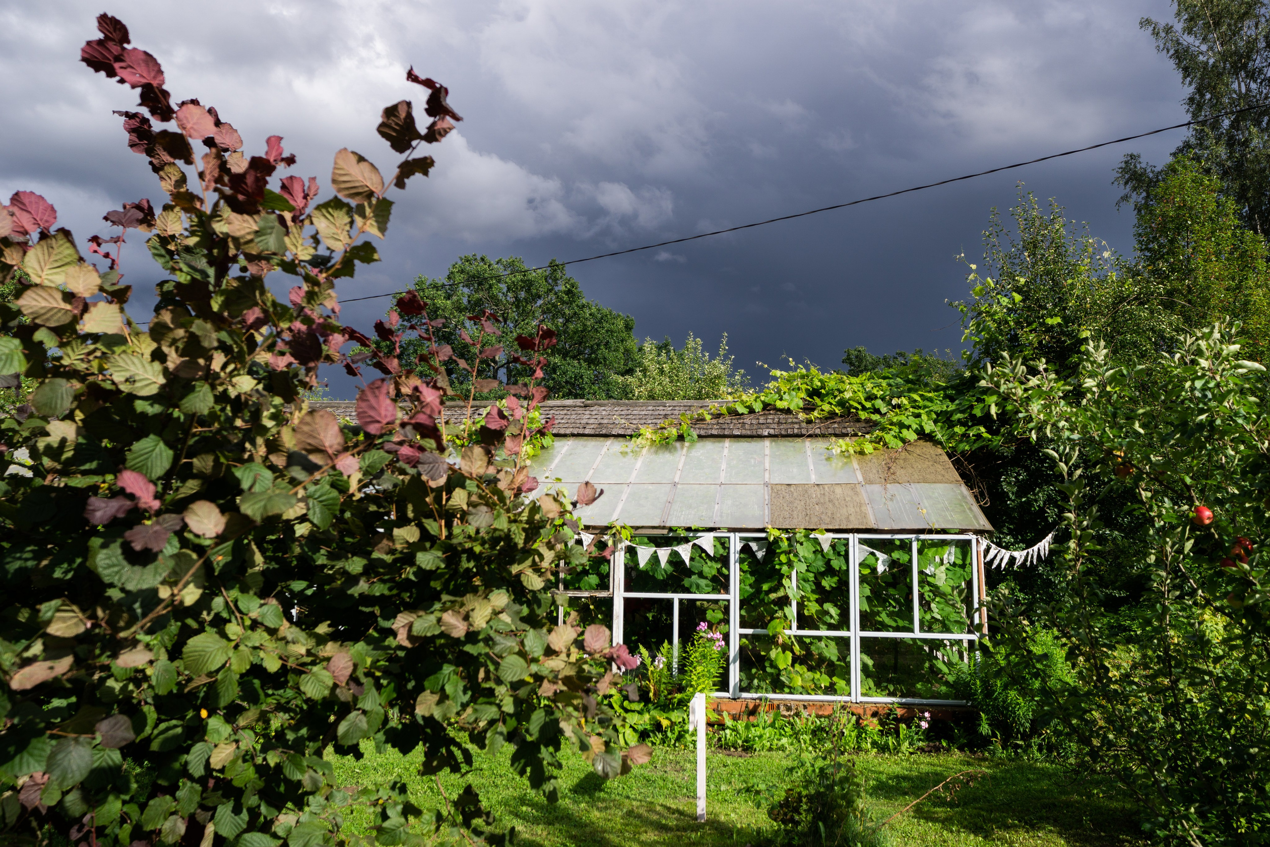 Kāzas Siltumnīcā. ROLFS VENDIŅŠ - KĀZU FOTOGRĀFS | Rīgā un visā Latvijā