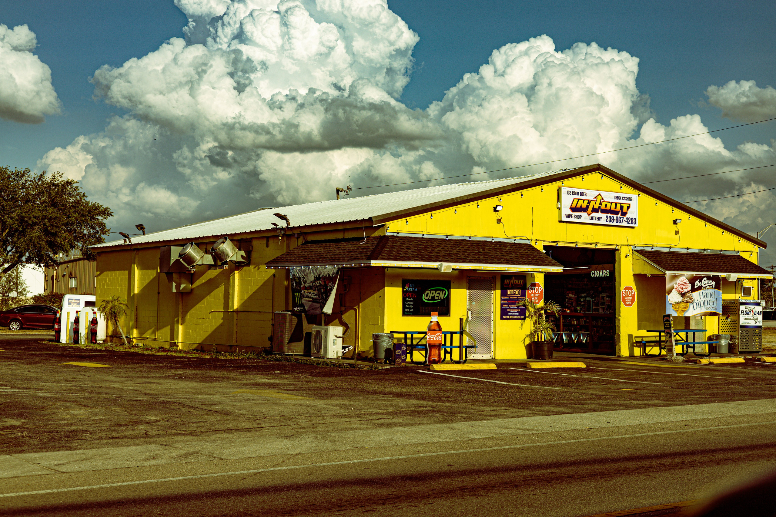 Americana — Immokolee. Out and About 239