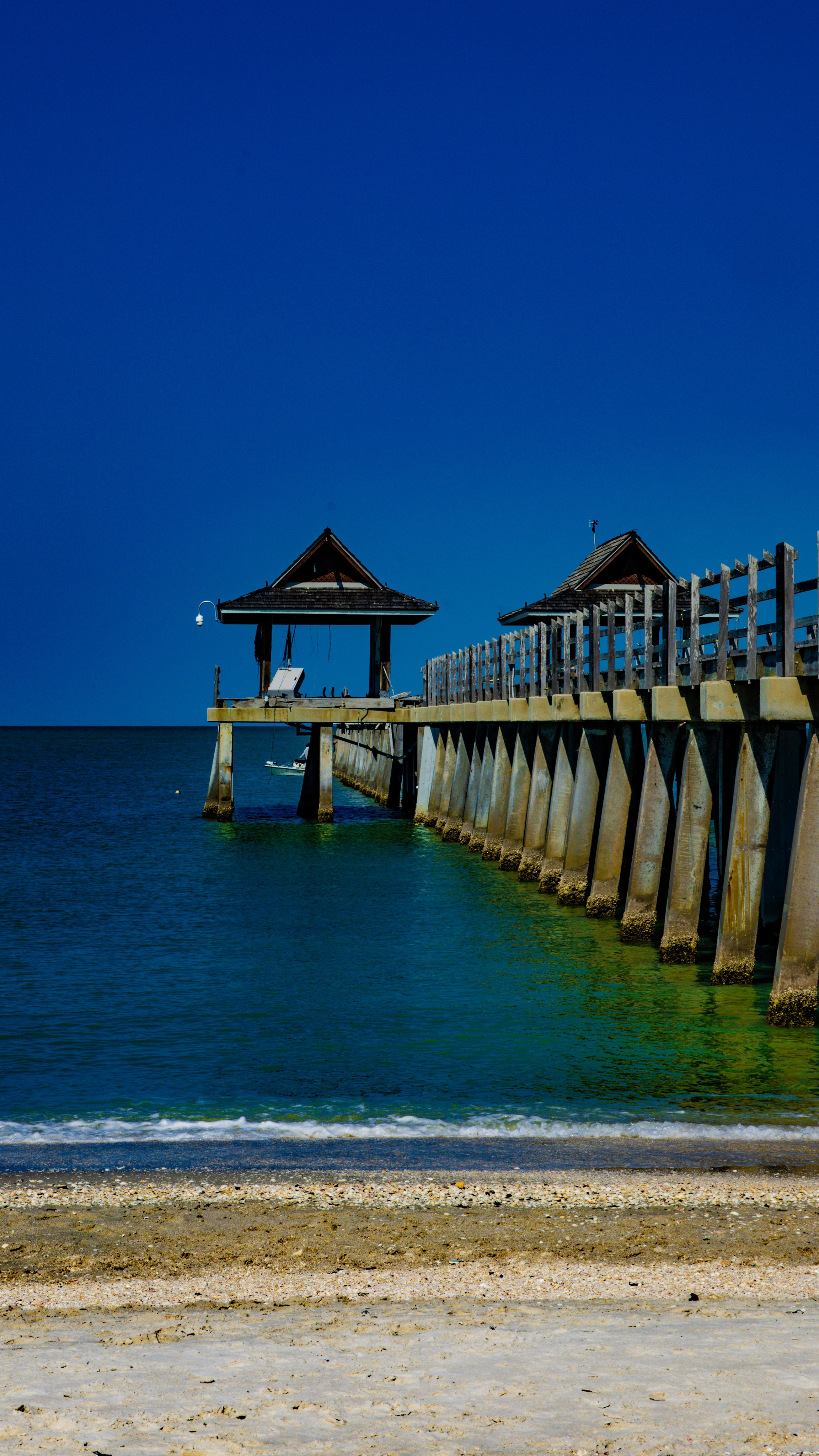 About Town Series. Out and About 239