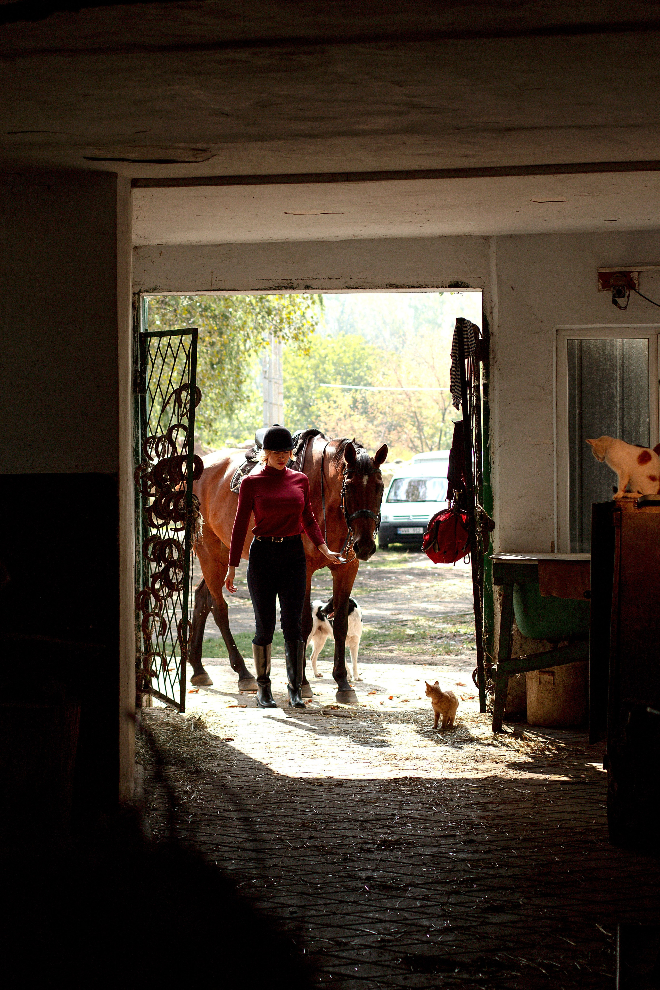 Конюшня. Детский и семейный фотограф в г. Бельцы
