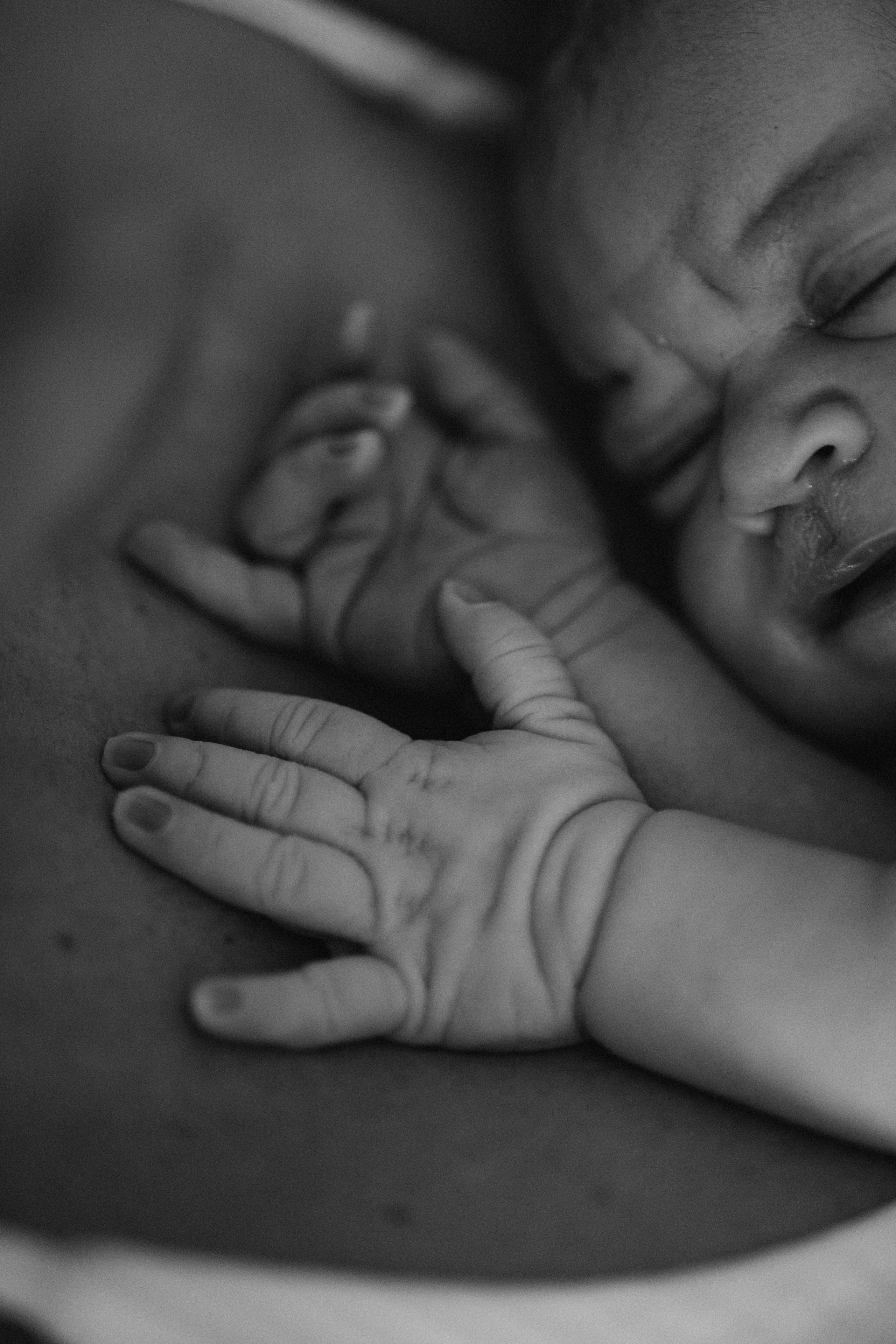 Обо мне. Доĸументальный семейный фотограф во Флорианополисе и Санта-Катарине Дарья Ермолаев