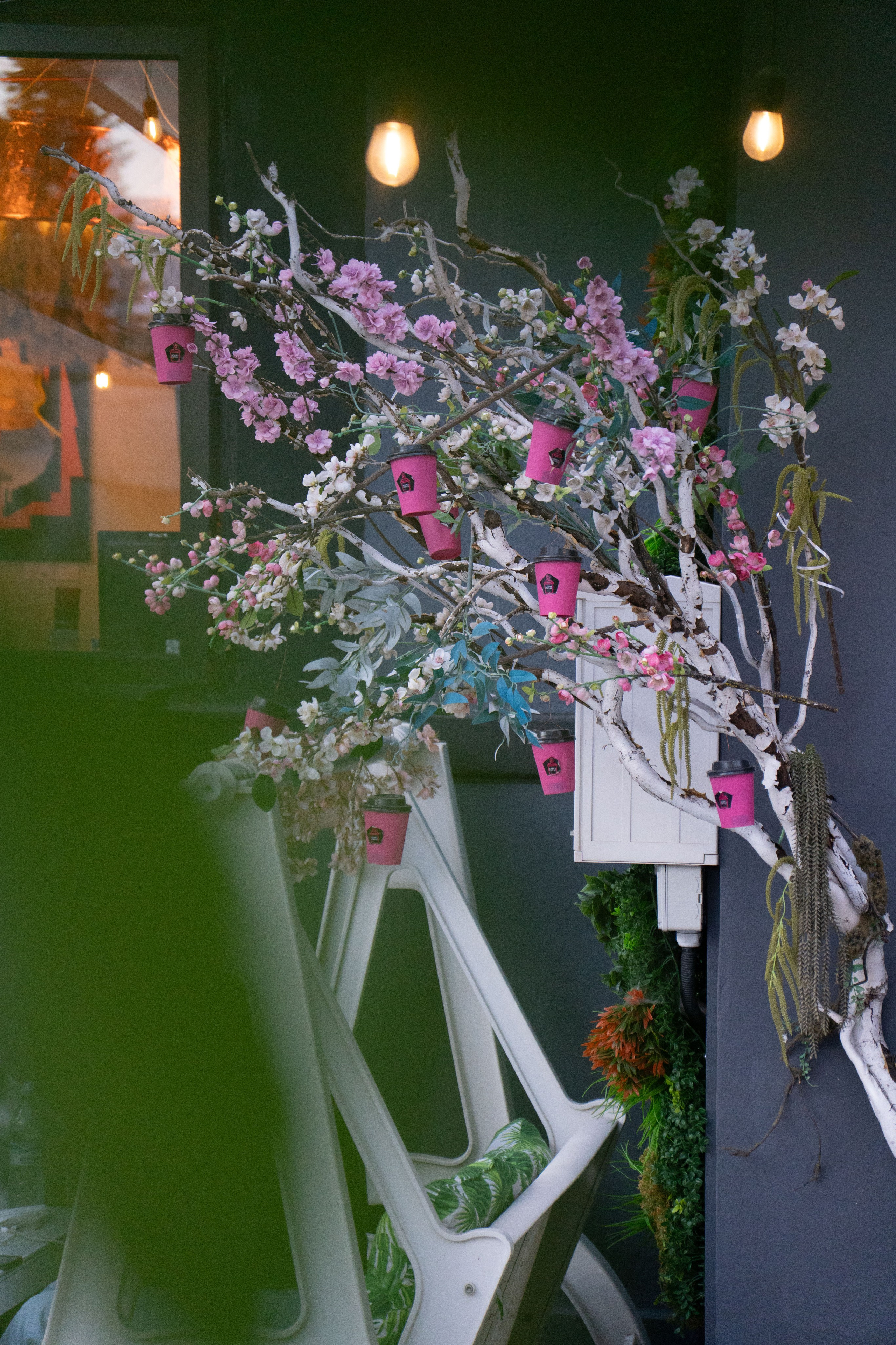 Adam’s. Creste si calatoreste