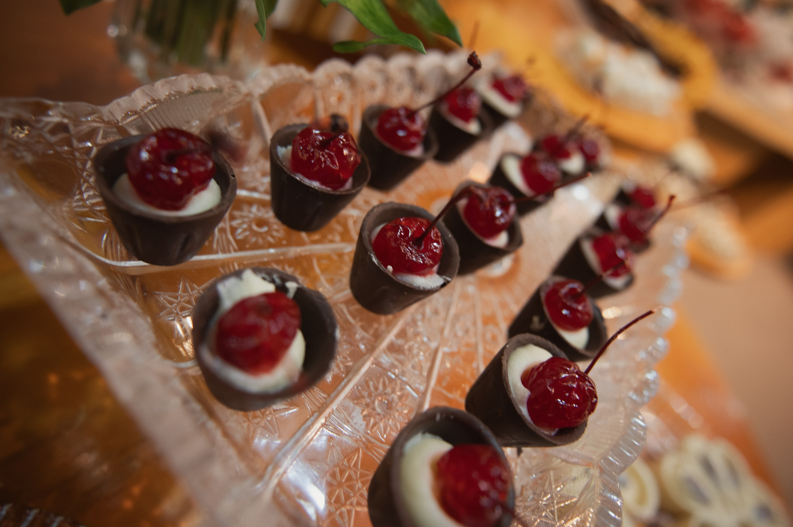 Beatrice & Paulo. Lembrar não é só ver. É sentir de novo