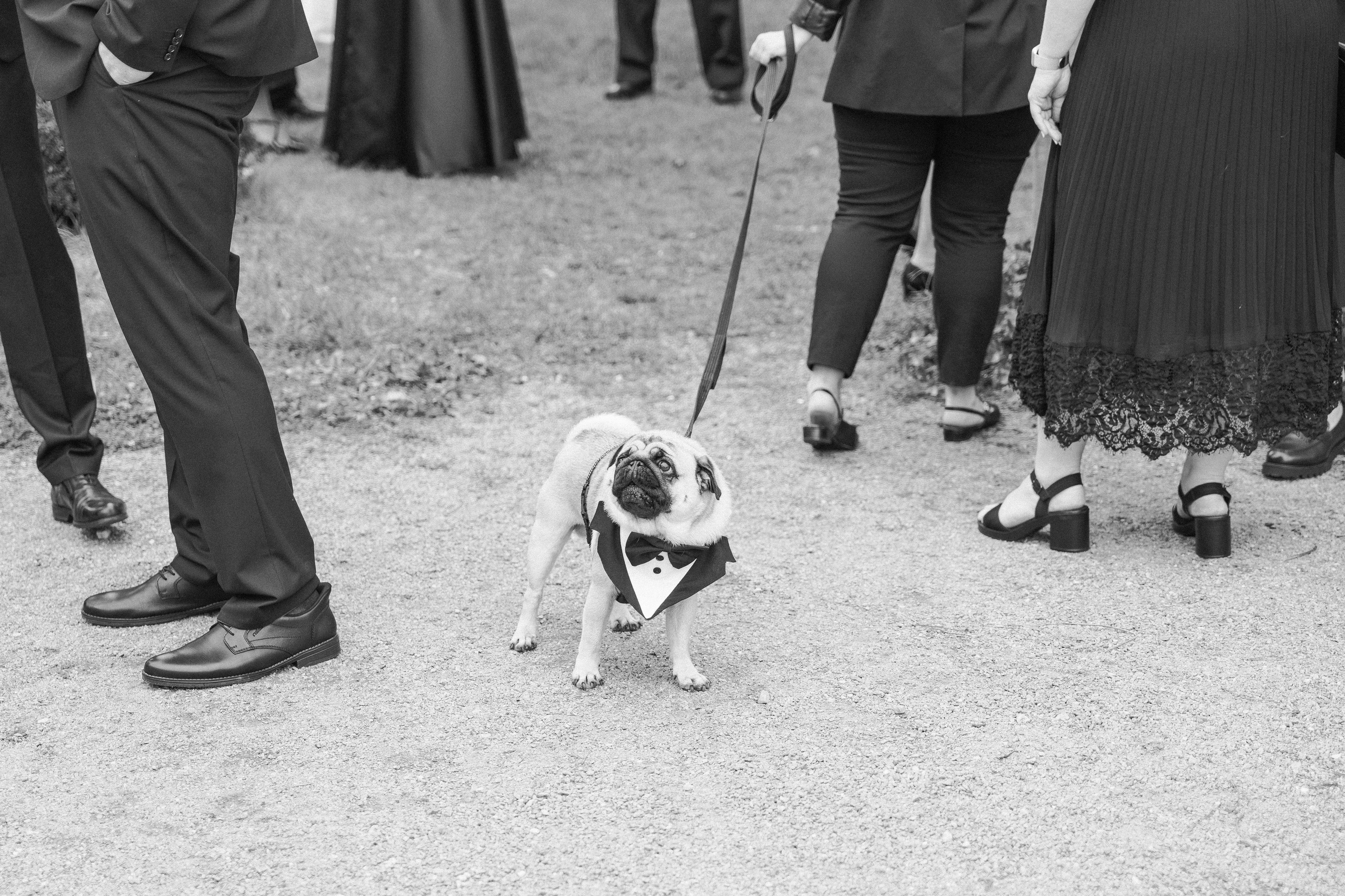 Wedding at Chateau Karlova Koruna