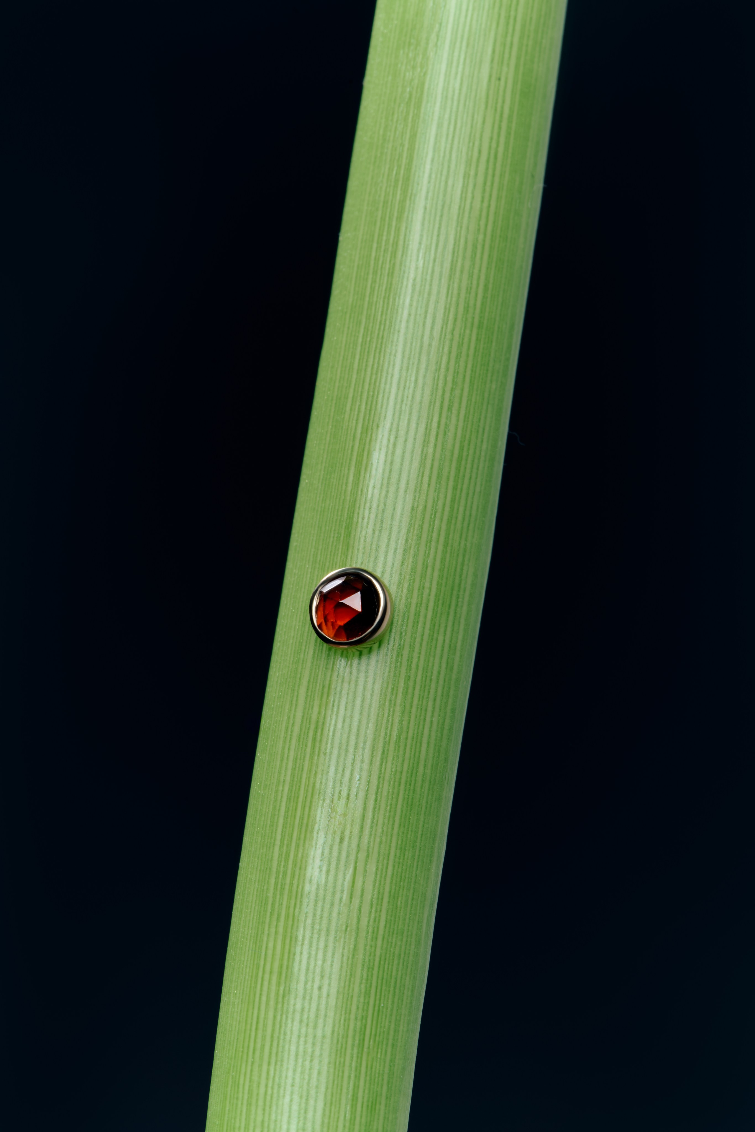 Fashion & Product. Photographer and videographer for business in Tbilisi Catrine Poznyak