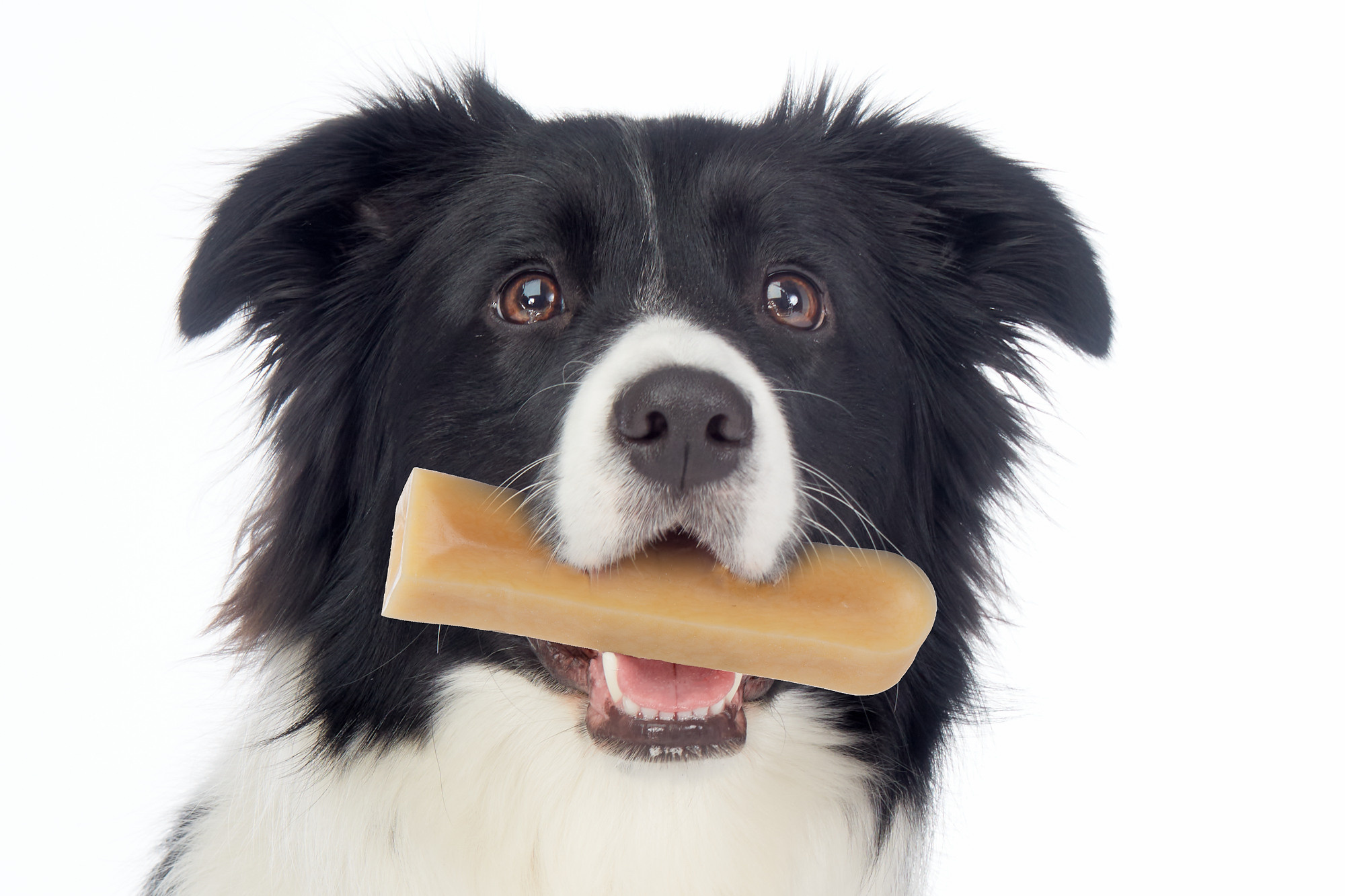 REKLAMA. Fotogrāfs Rīgā Aivars Tipsis