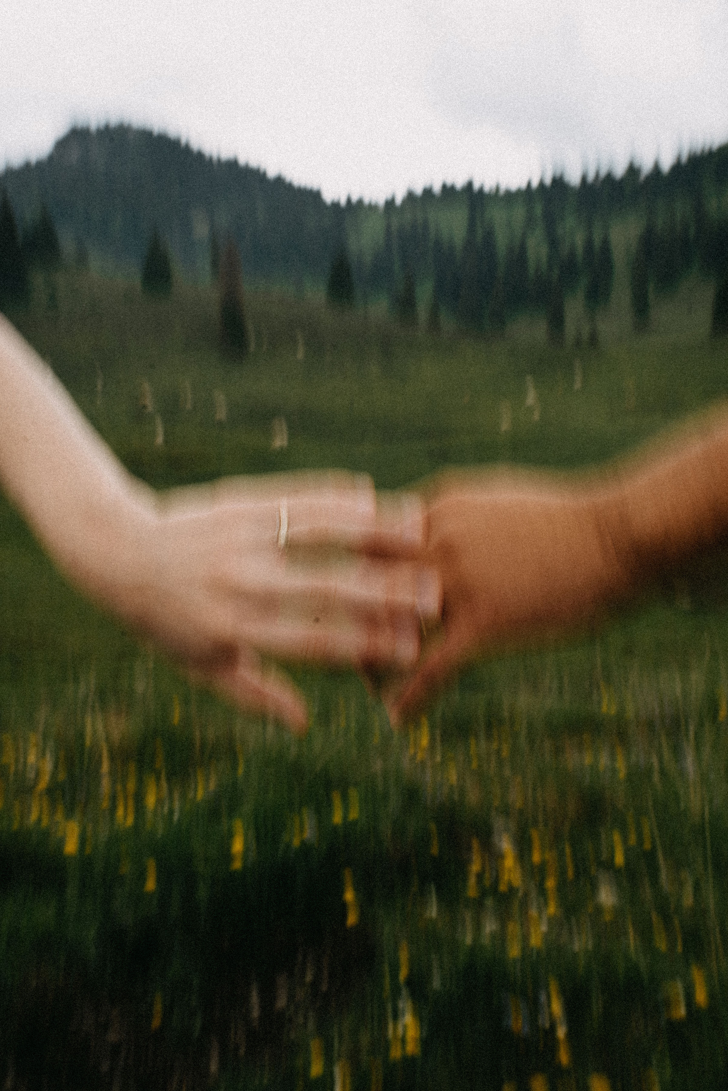 romania wedding photographer, fotograf nunta romania, nunta in romania, fotograf cupluri in romania, muntii apuseni, sedinta foto in multii apuseni, padis, vacute, cuplu vintage, vintage couple, landscape photographer, romania wild, romania salbatica, transylvania, raw moments, fotograf de nunti, videograf de nunti, spain wedding photographer, spain wedding, spain photographer