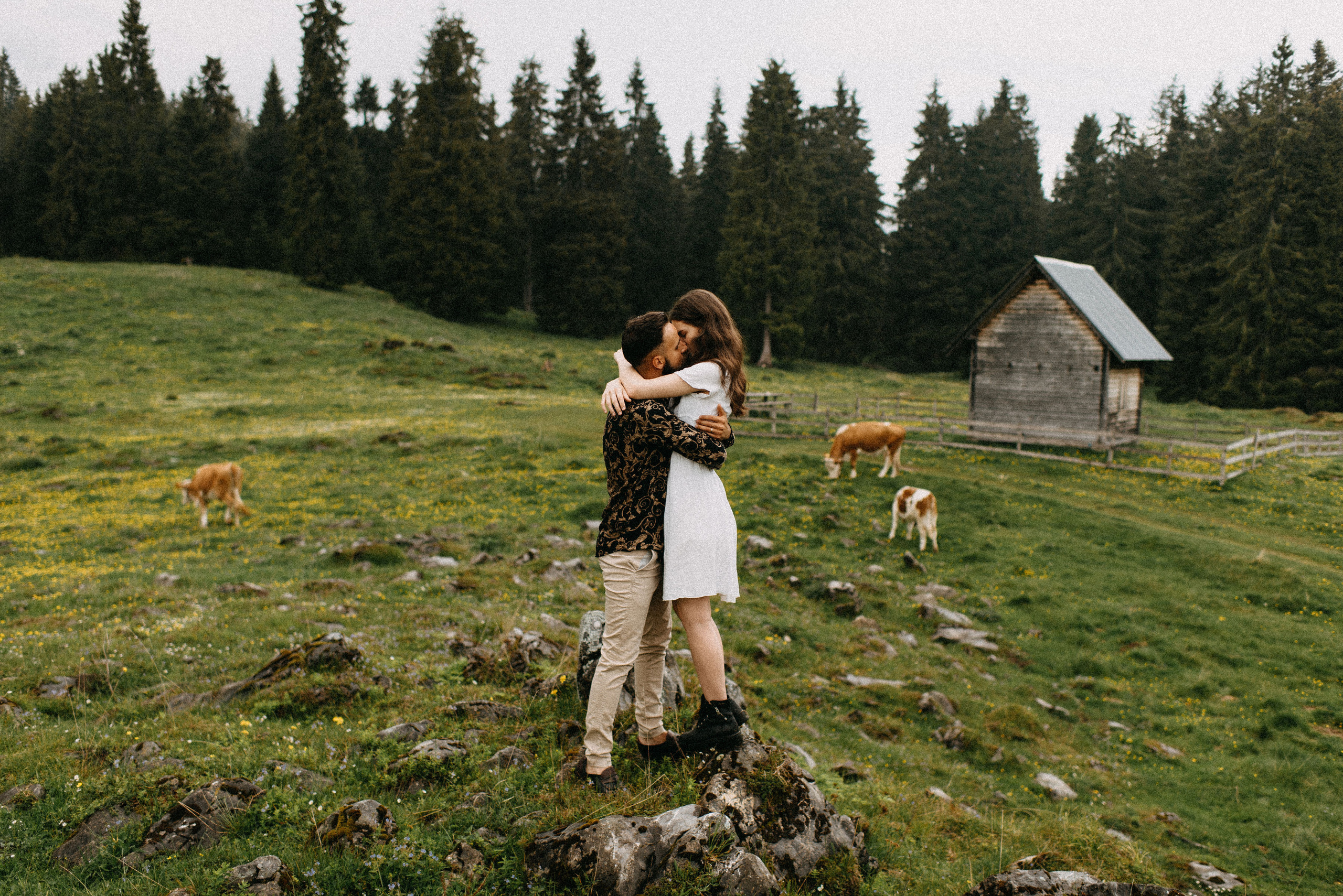 romania wedding photographer, fotograf nunta romania, nunta in romania, fotograf cupluri in romania, muntii apuseni, sedinta foto in multii apuseni, padis, vacute, cuplu vintage, vintage couple, landscape photographer, romania wild, romania salbatica, transylvania, raw moments, fotograf de nunti, videograf de nunti, spain wedding photographer, spain wedding, spain photographer