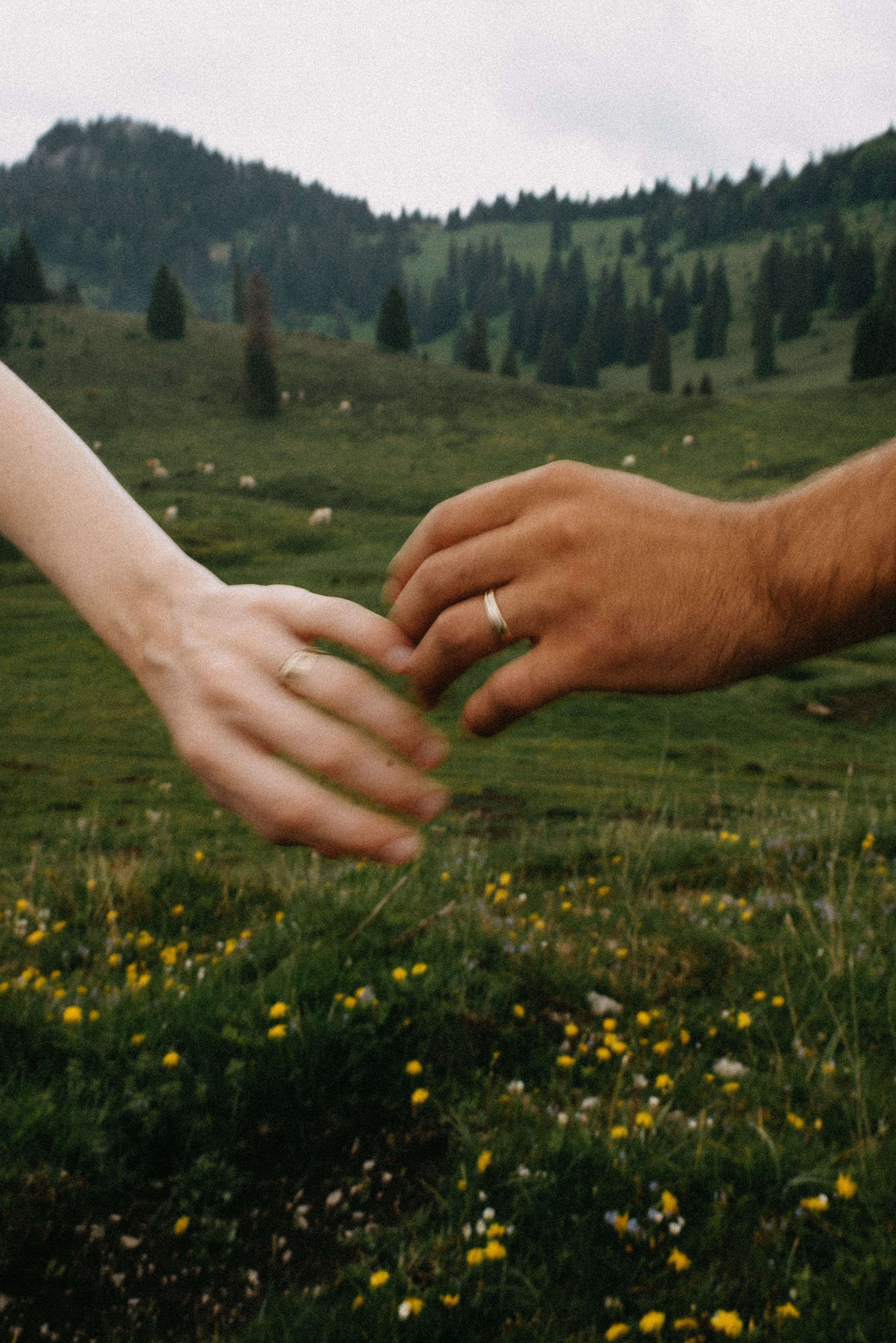 romania wedding photographer, fotograf nunta romania, nunta in romania, fotograf cupluri in romania, muntii apuseni, sedinta foto in multii apuseni, padis, vacute, cuplu vintage, vintage couple, landscape photographer, romania wild, romania salbatica, transylvania, raw moments, fotograf de nunti, videograf de nunti, spain wedding photographer, spain wedding, spain photographer, motion blur, couple in ran, sorin and patricia wedding, sorin and patricia, patricia morenci, sorin sirbu