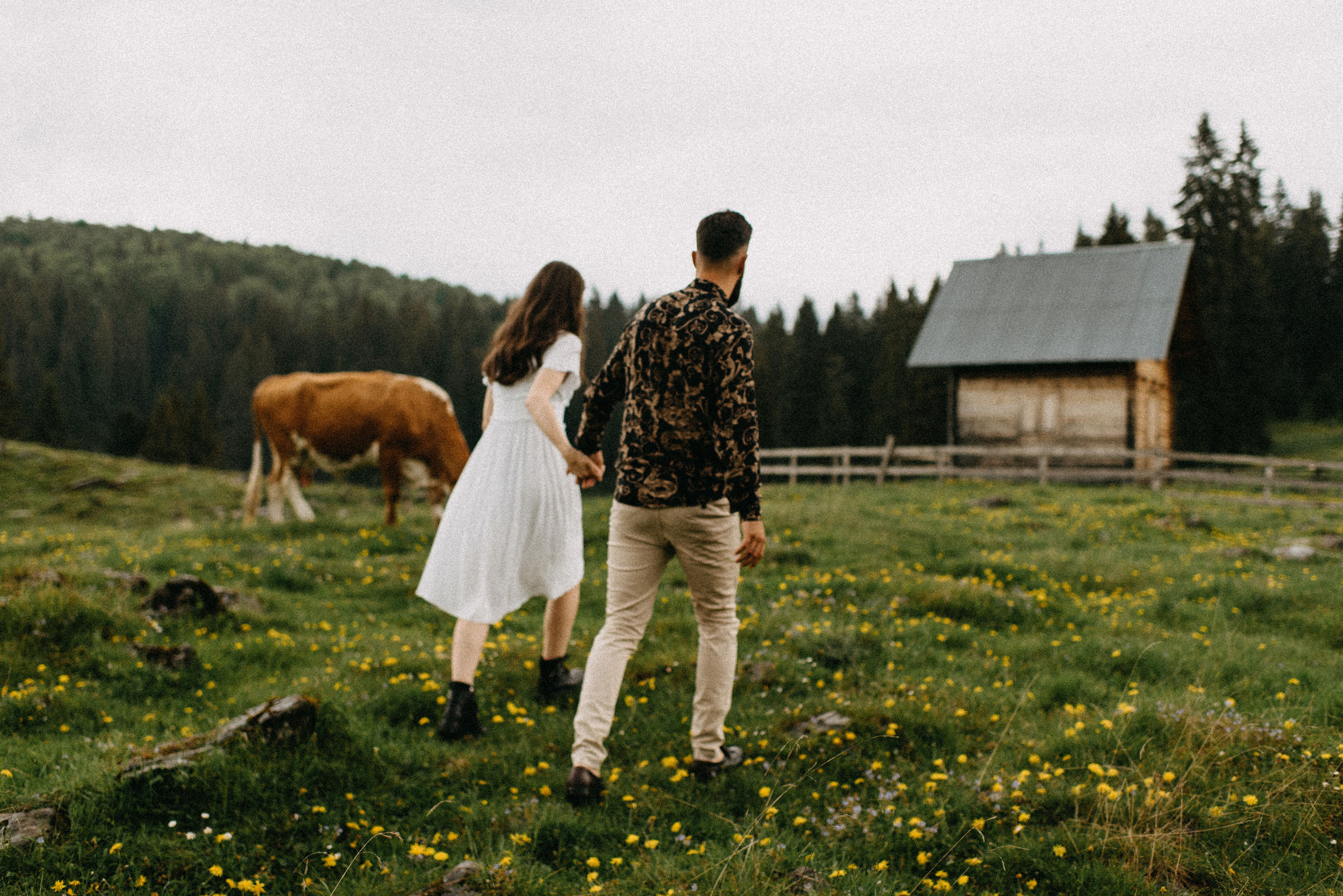 romania wedding photographer, fotograf nunta romania, nunta in romania, fotograf cupluri in romania, muntii apuseni, sedinta foto in multii apuseni, padis, vacute, cuplu vintage, vintage couple, landscape photographer, romania wild, romania salbatica, transylvania, raw moments, fotograf de nunti, videograf de nunti, spain wedding photographer, spain wedding, spain photographer, motion blur, couple in ran, sorin and patricia wedding, sorin and patricia, patricia morenci, sorin sirbu