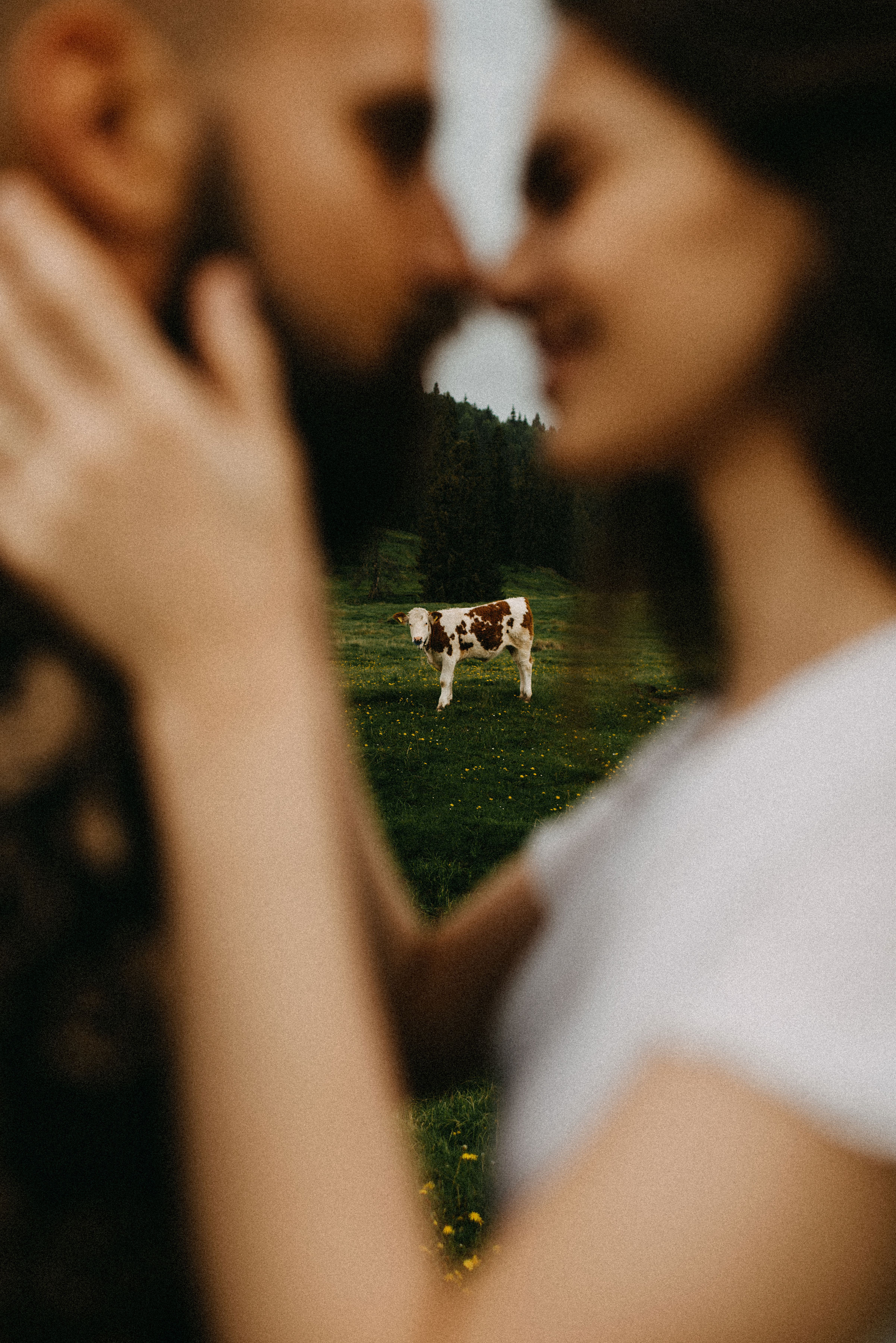 romania wedding photographer, fotograf nunta romania, nunta in romania, fotograf cupluri in romania, muntii apuseni, sedinta foto in multii apuseni, padis, vacute, cuplu vintage, vintage couple, landscape photographer, romania wild, romania salbatica, transylvania, raw moments, fotograf de nunti, videograf de nunti, spain wedding photographer, spain wedding, spain photographer, motion blur, couple in ran, sorin and patricia wedding, sorin and patricia, patricia morenci, sorin sirbu