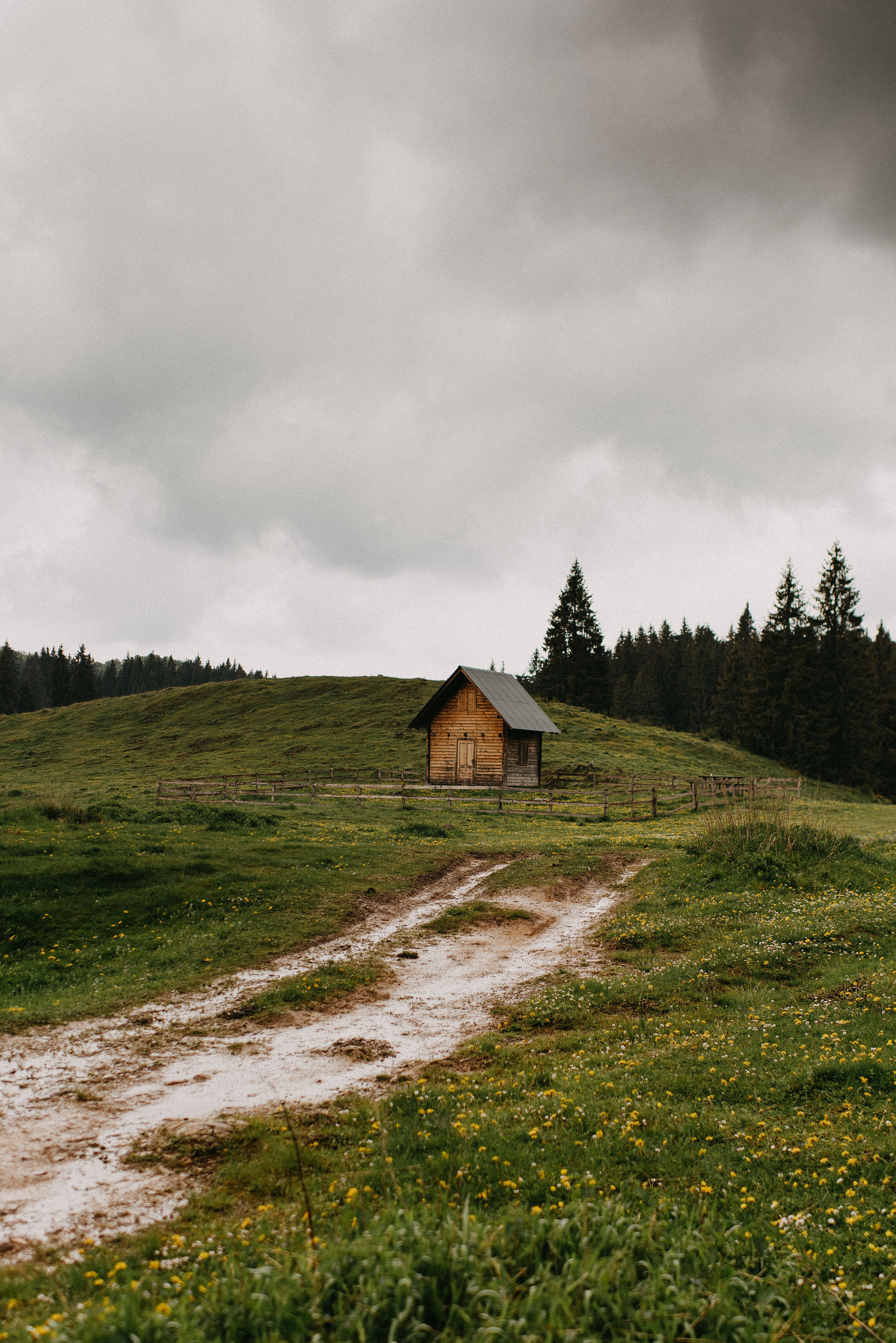 romania wedding photographer, fotograf nunta romania, nunta in romania, fotograf cupluri in romania, muntii apuseni, sedinta foto in multii apuseni, padis, vacute, cuplu vintage, vintage couple, landscape photographer, romania wild, romania salbatica, transylvania, raw moments, fotograf de nunti, videograf de nunti, spain wedding photographer, spain wedding, spain photographer